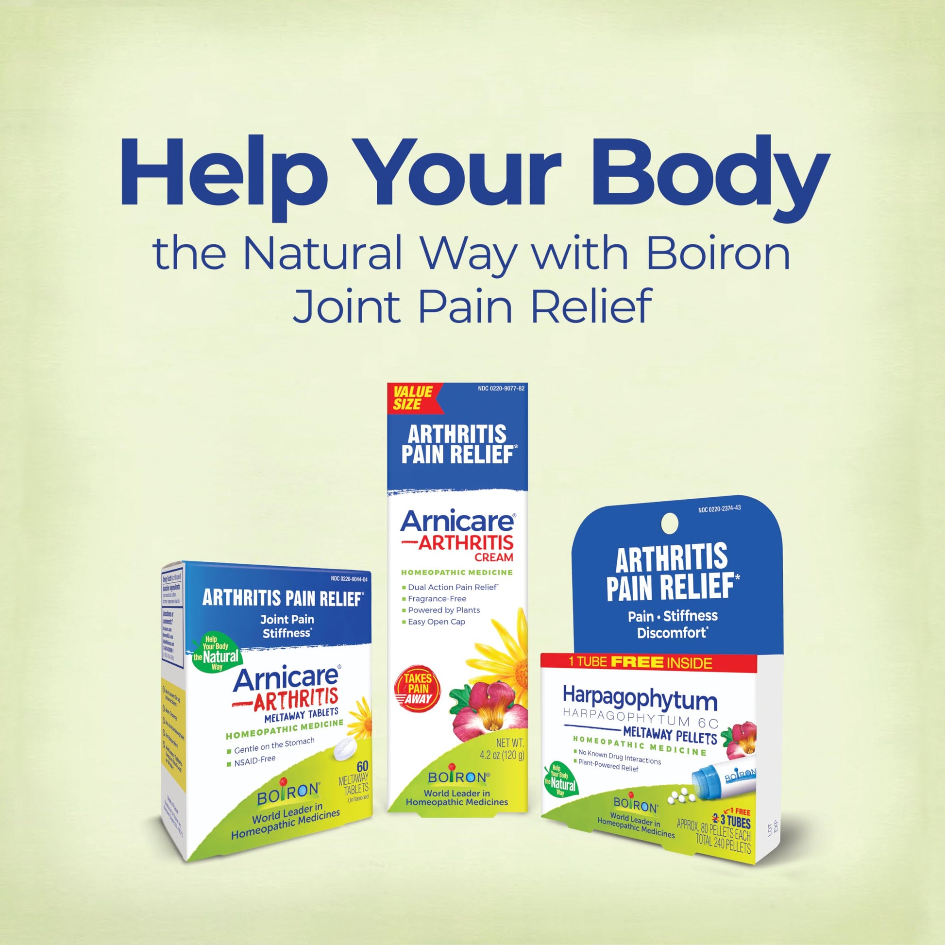 Boiron Arnicare Arthritis Cream Pump for Pain Relief of Knees, Hands, Wrists, Elbows, Joints & Muscles – Quickly Absorbed & Fragrance-Free – 4.2 oz Boiron buy supplements canada