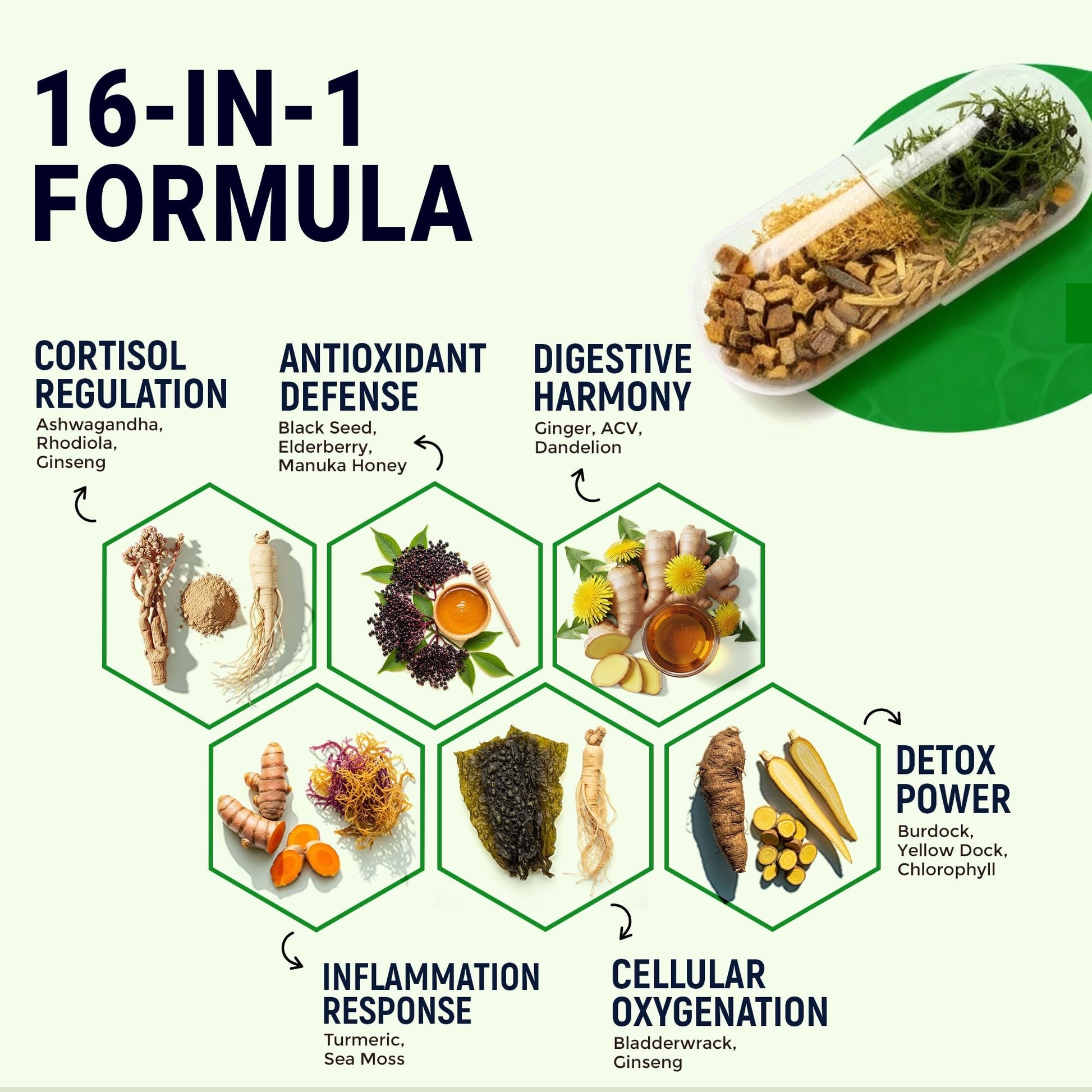 Sea Moss Black Seed Oil Ashwagandha Ginger - Advanced Irish Sea Moss Capsules All in One Supplement with Seamoss Black Seed Oil Ashwagandha Burdock Root Bladderwrack - Pills for Energy, Immune, Gut Opti Health buy supplements canada
