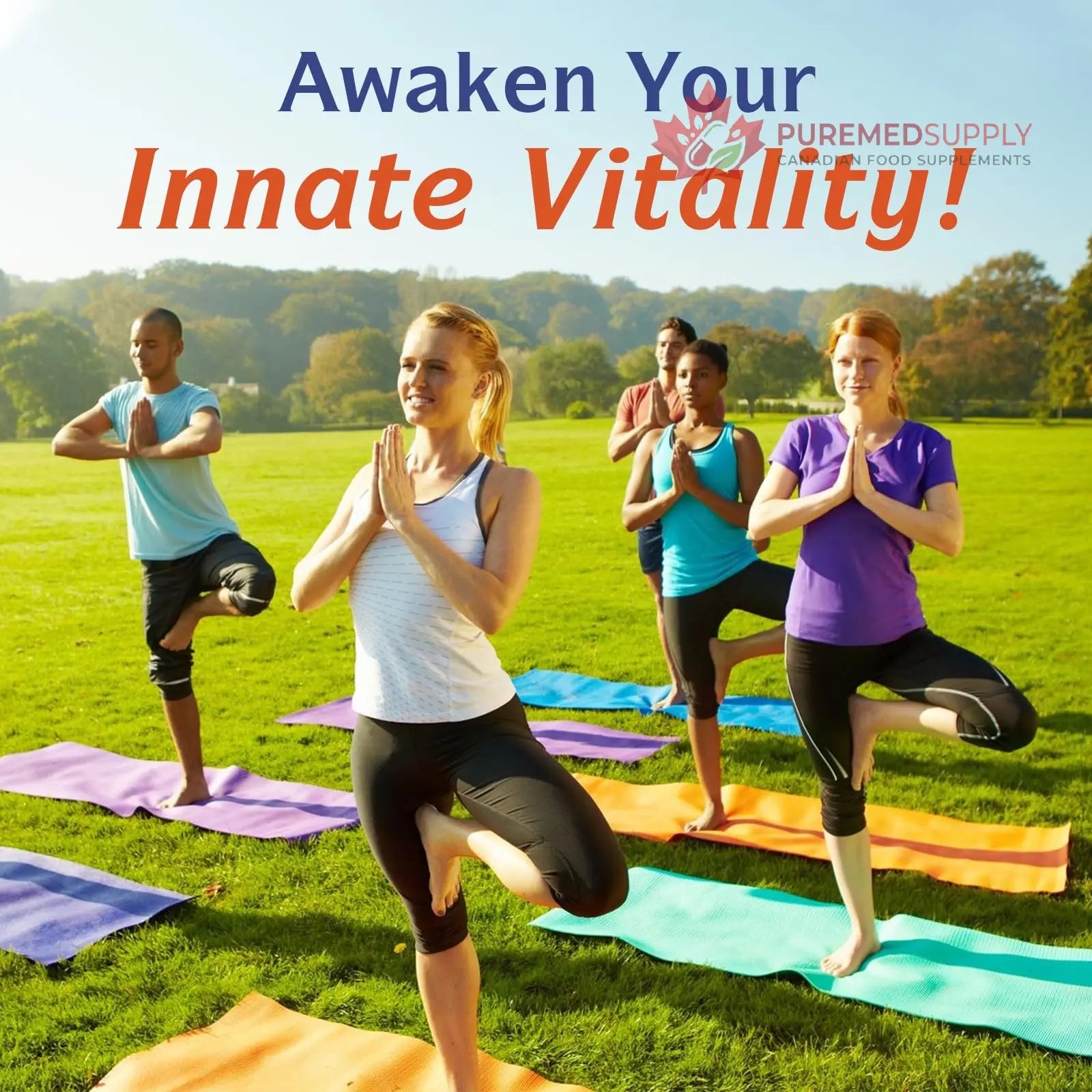 Innate Vitality 10-in-1 Magnesium Complex 960mg, 420mg Elemental Mag per Serving, with Magnesium Glycinate, Citrate, Malate, and More, Sleep, Digestion, Energy Support, 90 Vegan Caps Innate Vitality buy supplements canada