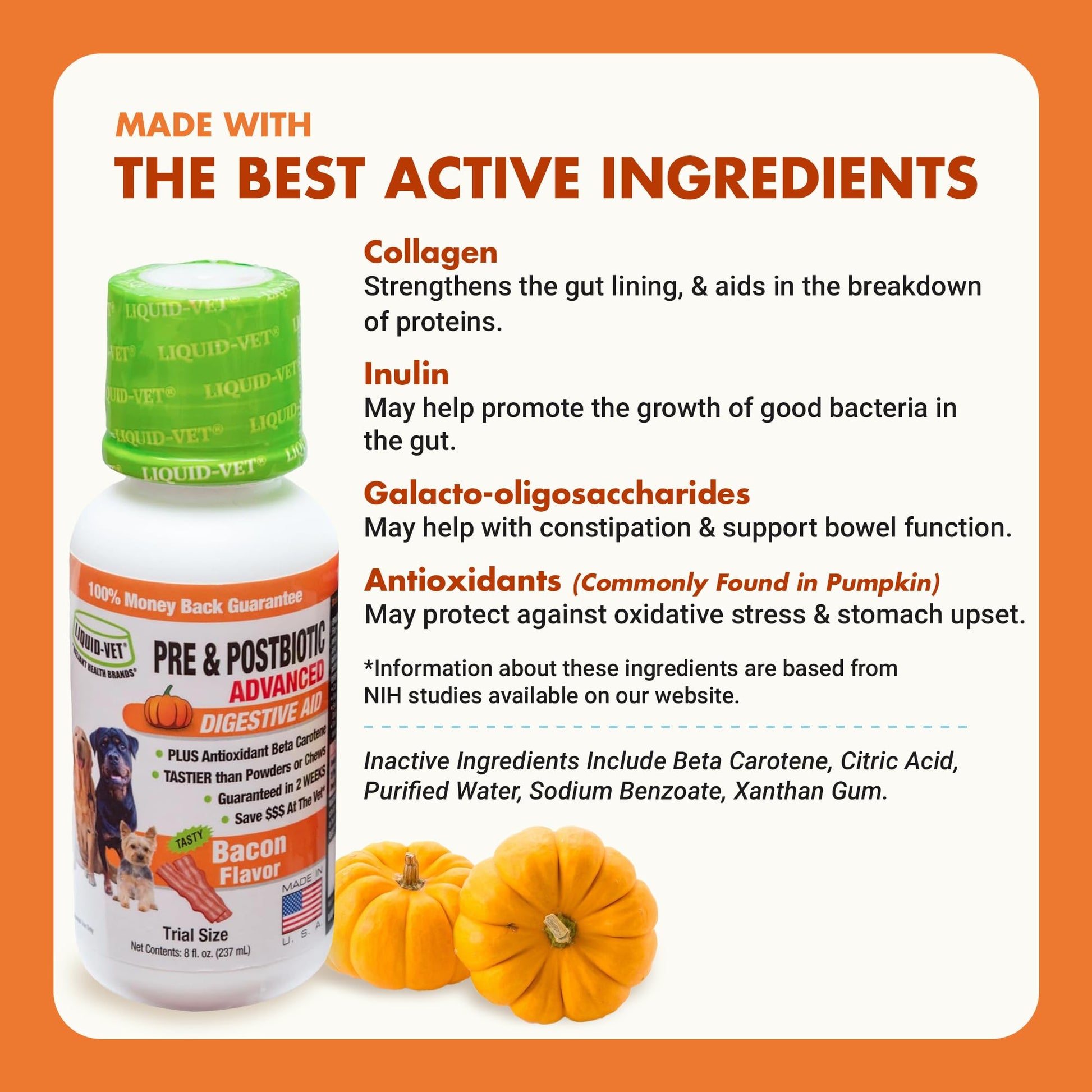 Pre & PostBiotic Support for Dogs – Digestive Upset, Stool Quality & Sensitive Stomach Support – Easy Liquid Formula for Picky Eaters LIQUID-VET buy supplements canada