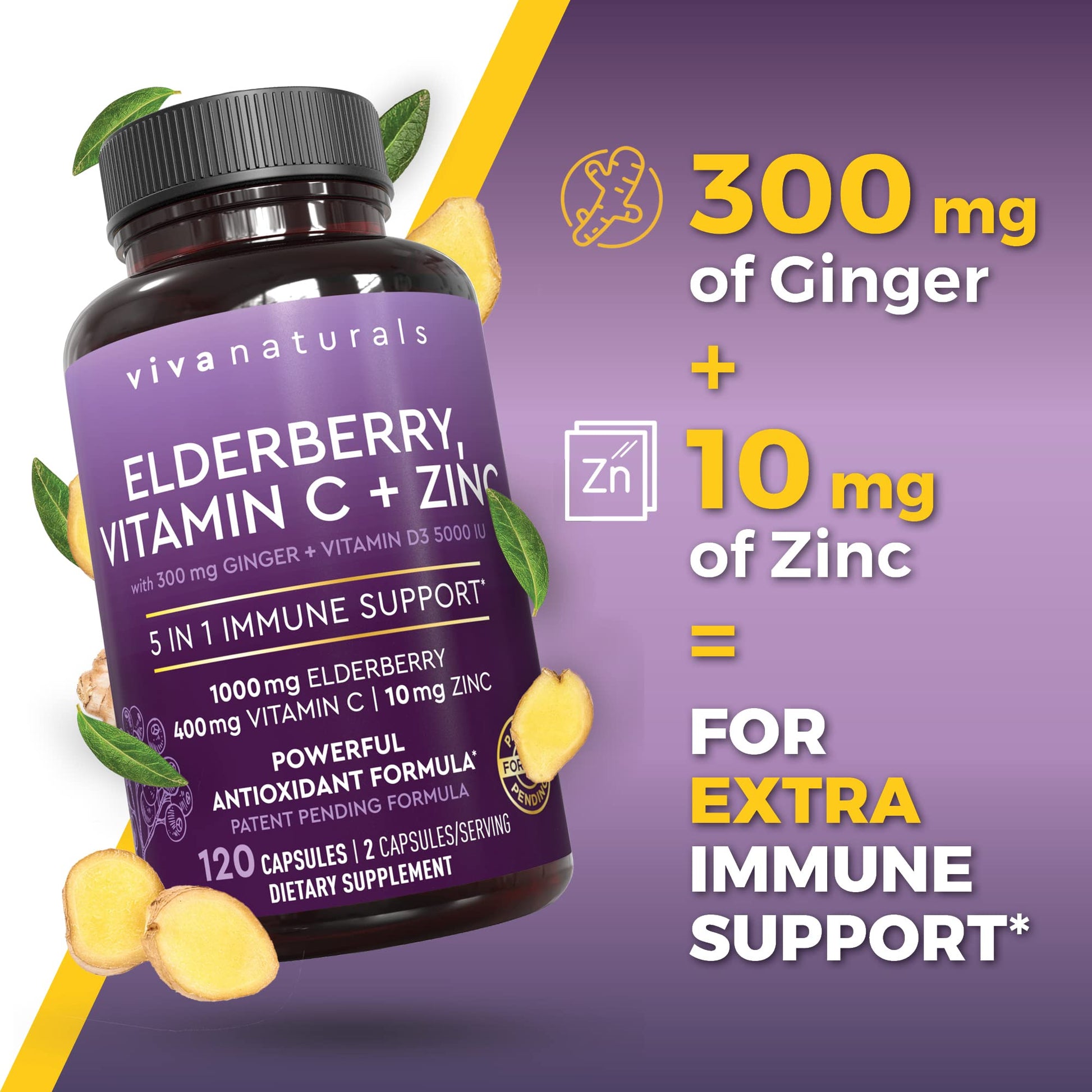 Viva Naturals Elderberry with Vitamin C and Zinc for Adults - 5 in 1 Sambucus Black Elderberry Capsules with Vitamin D3 5000 IU Immunity Supplement Viva Naturals buy supplements canada