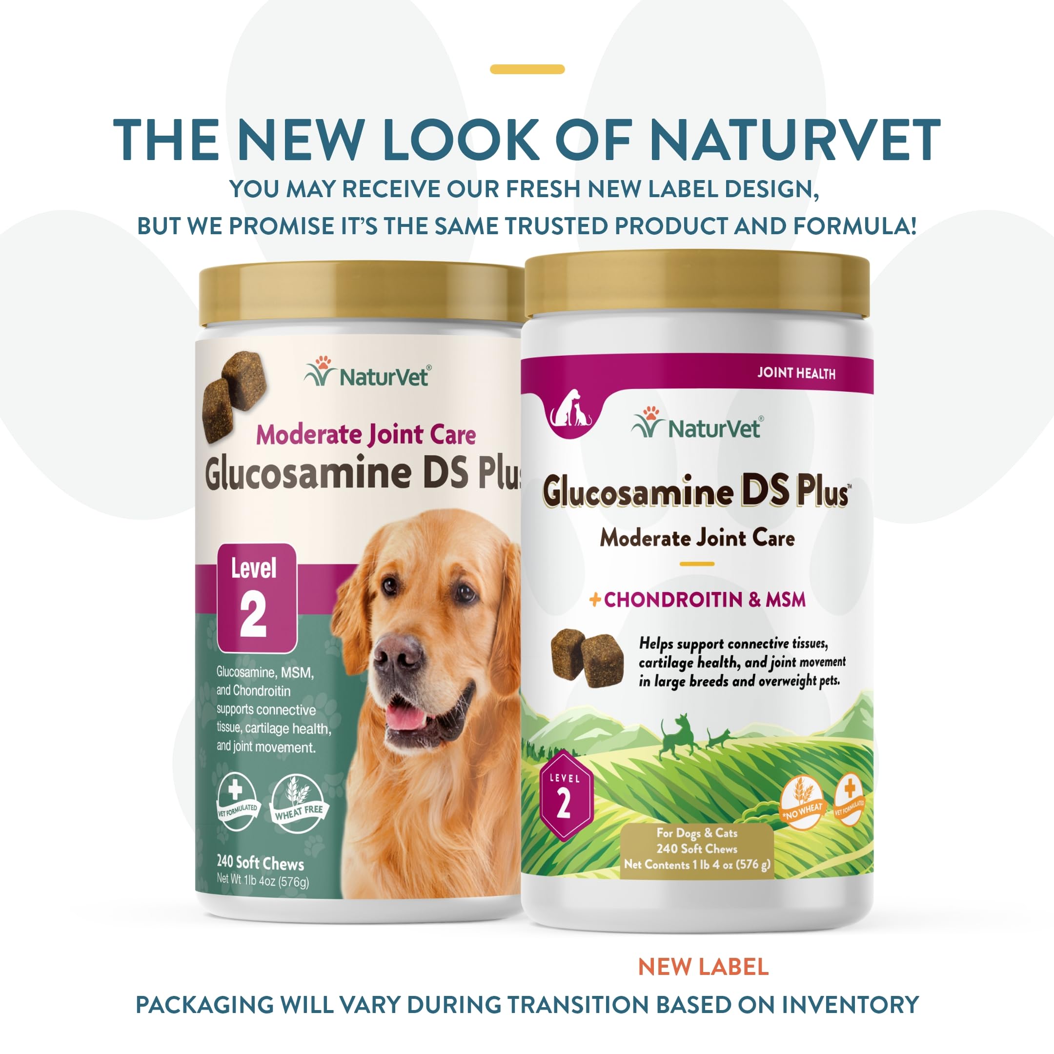 NaturVet – Glucosamine DS Plus - Level 2 Moderate Care – Supports Healthy Hip & Joint Function – Enhanced with Glucosamine, MSM & Chondroitin – for Dogs & Cats – 240 Soft Chews NaturVet buy supplements canada