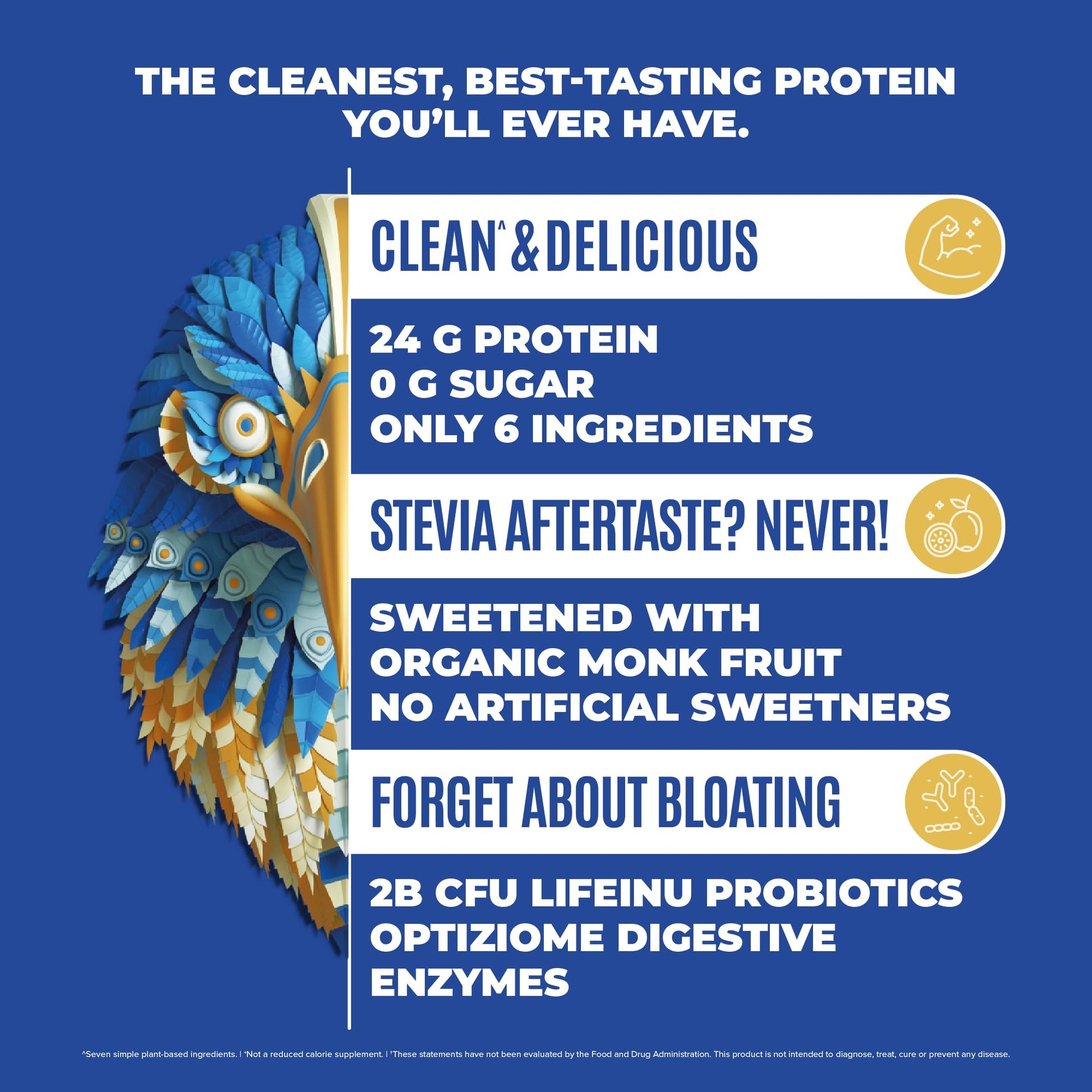 BIRDMAN Falcon Vegan Protein Powder Organic, Stevia & Sugar Free, Plant Based Protein BIRDMAN buy supplements canada