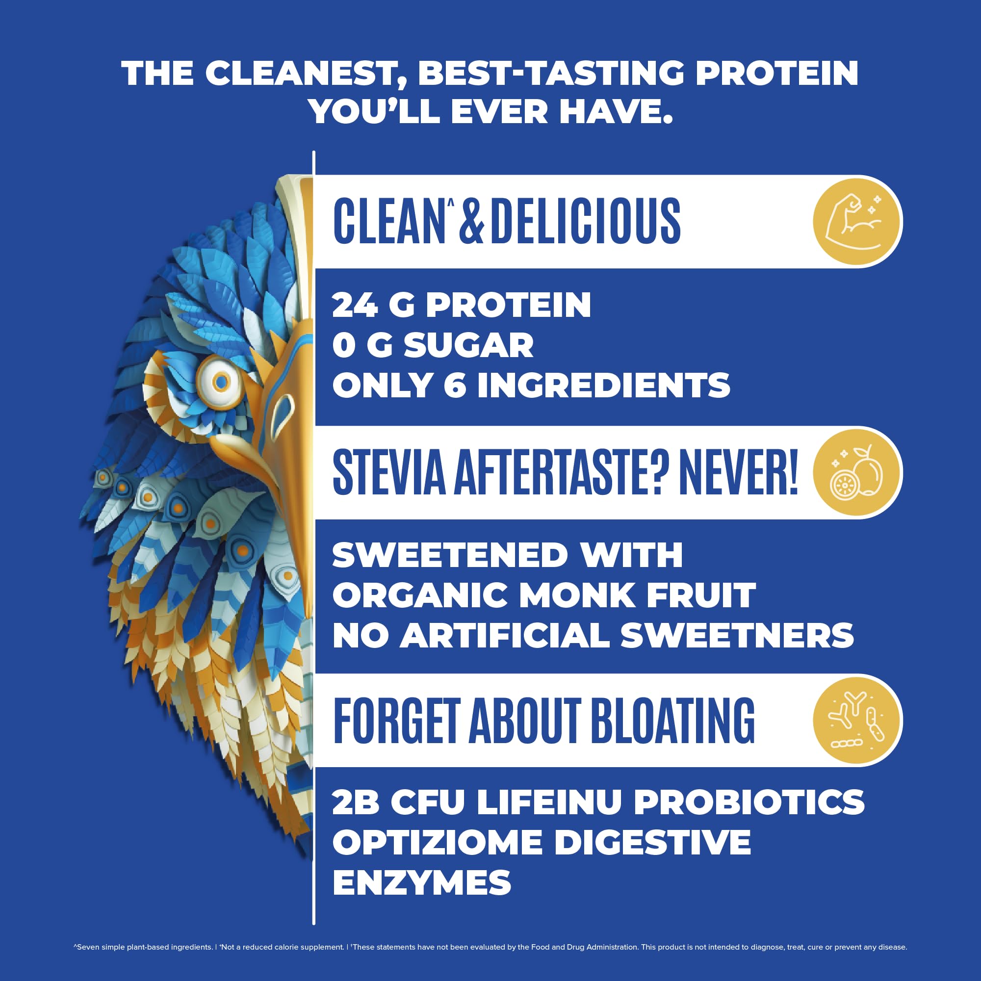 BIRDMAN Falcon Vegan Protein Powder Organic, Stevia & Sugar Free, Plant Based Protein BIRDMAN buy supplements canada