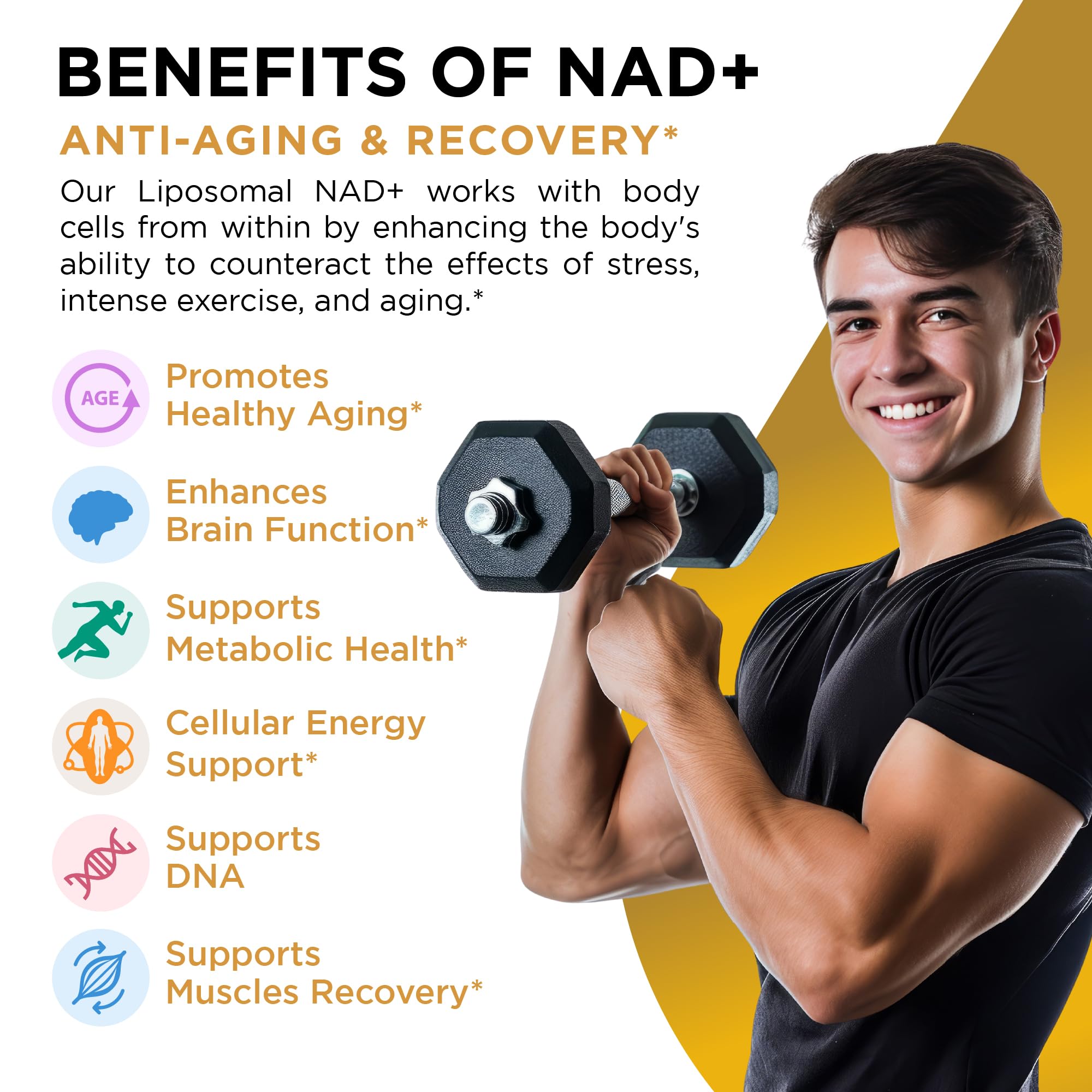 NAD+ Supplement Liposomal Capsules - Max Absorption for Cellular Energy, Healthy Aging, Brain Function & DNA Health - Vegan, Non-GMO, Gluten-Free Supplement - 60 Capsules - Supports NAD Levels AuroraSynth buy supplements canada