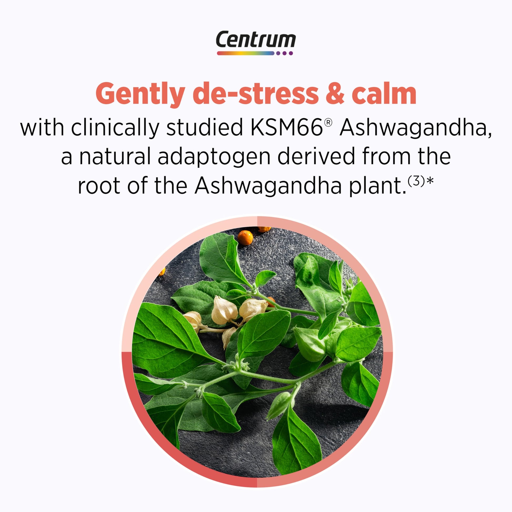 Centrum Clear Mind and Calm Mood Menopause Support Tablets, with Clinically Studied enXtra, 30 Count Centrum buy supplements canada