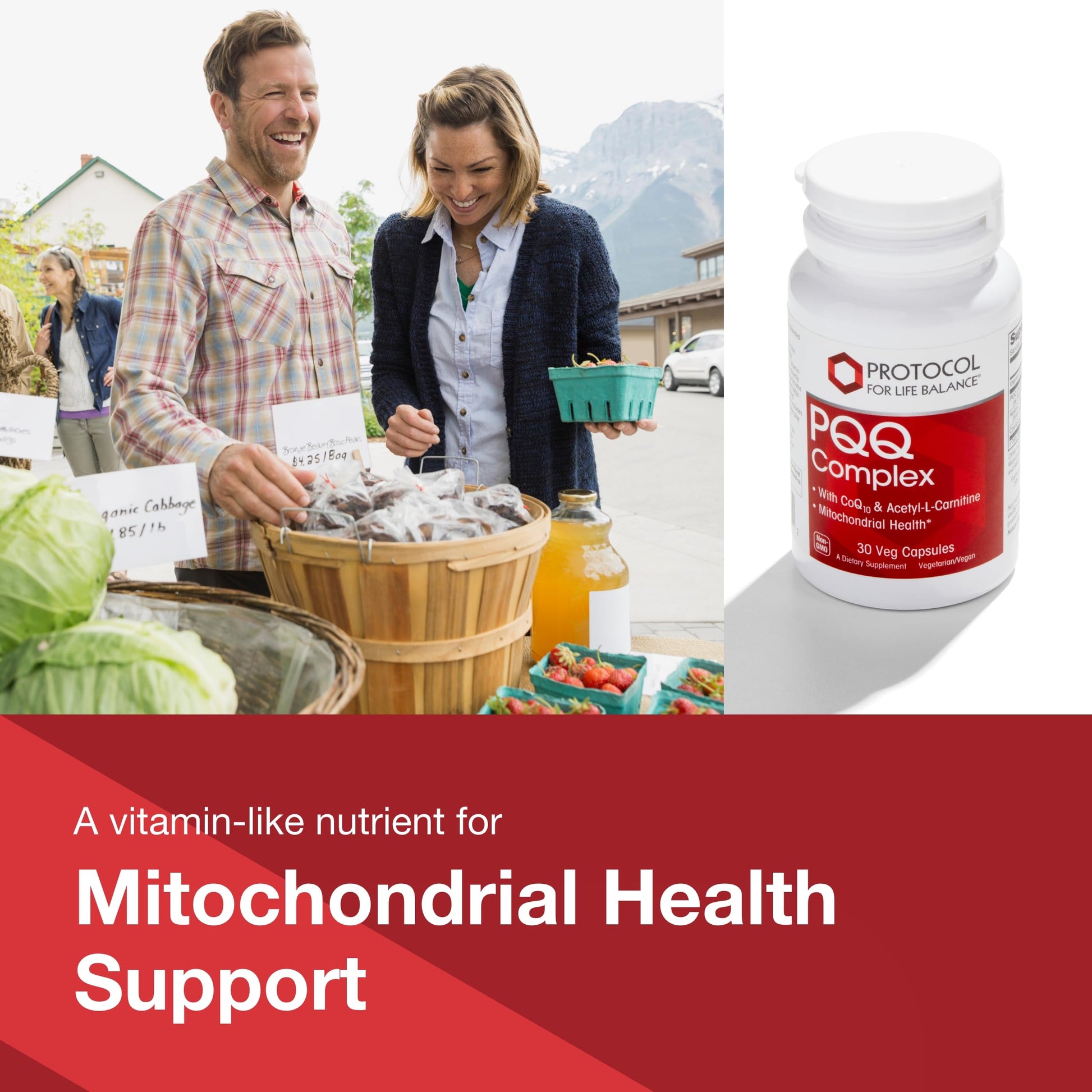 PROTOCOL FOR LIFE BALANCE PQQ Complex - Mitochondrial Health - with CoQ10 & L Carnitine - B Vitamin - Supplement for Energy - 30 Veg Caps PROTOCOL FOR LIFE BALANCE buy supplements canada