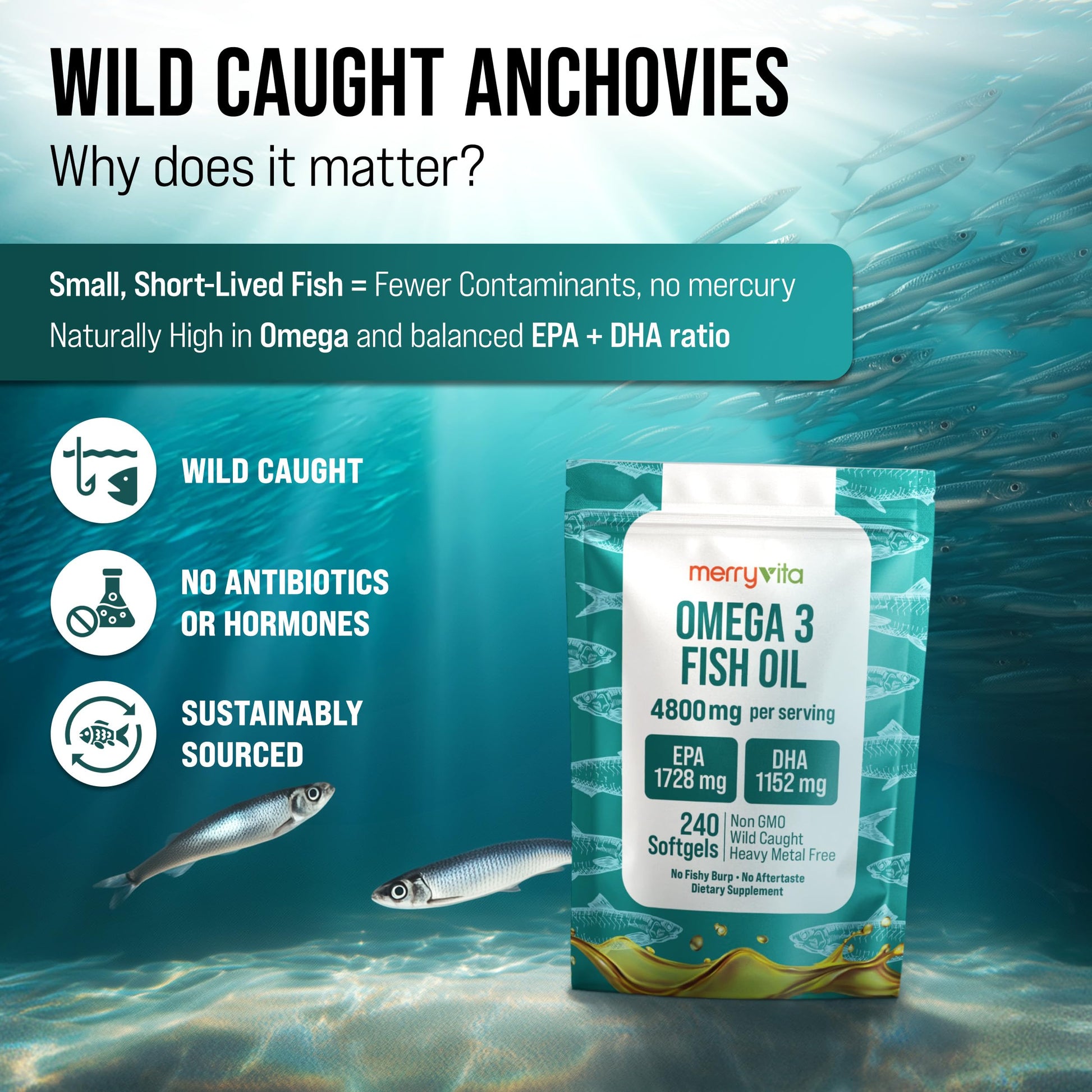 Omega 3 Fish Oil 4800 mg – EPA 1728 mg | DHA 1152 mg from Wild-Caught Anchovies – Burpless Mini Softgels – Pure Omega-3 Fatty Acid Supplement – Non-GMO, Gluten-Free, No Aftertaste – 240 Capsules MERRY VITA buy supplements canada