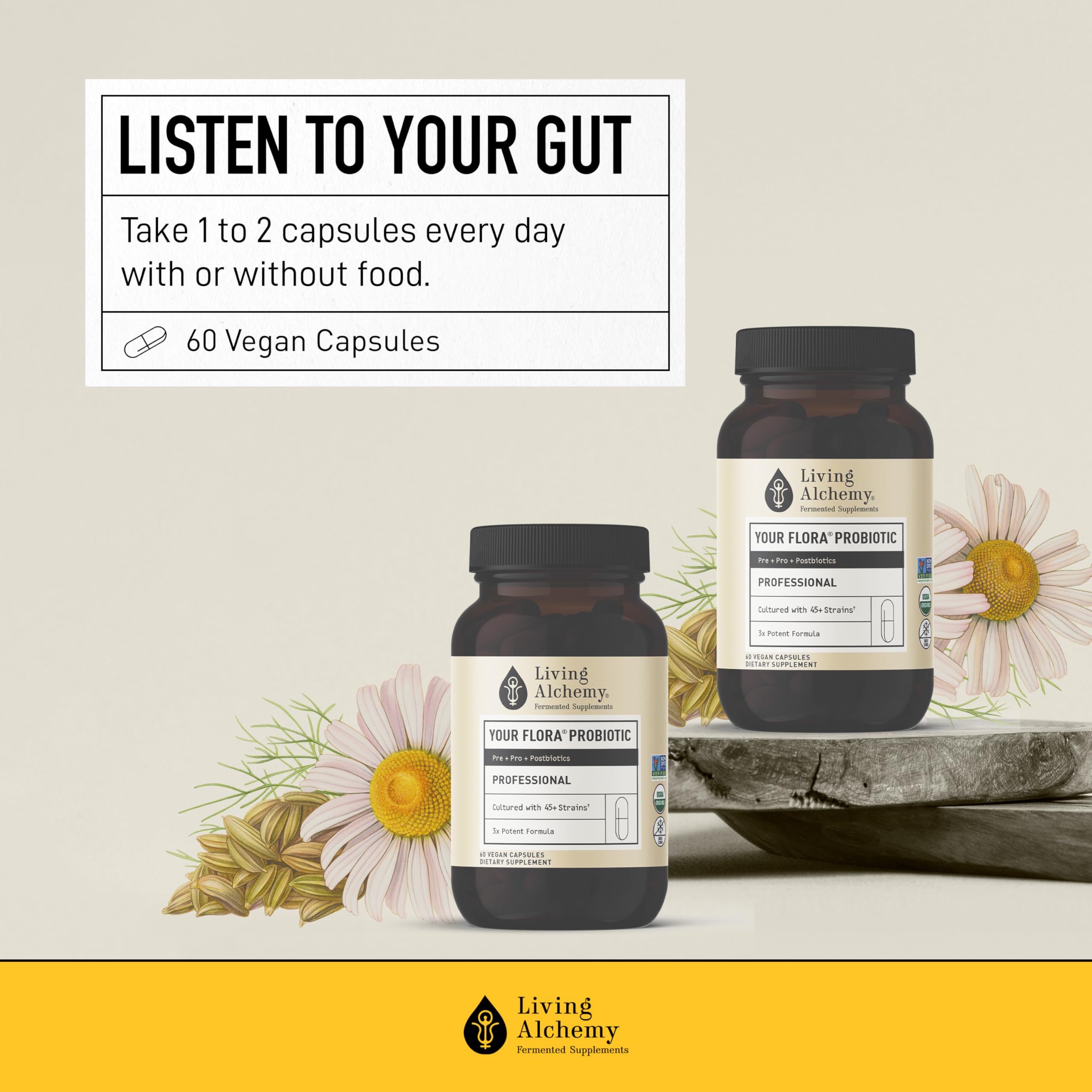 Living Alchemy Gut Health Supplements for Men & Women - Your Flora Probiotic Professional Digestion Supplement with Fermented Soybean, Prebiotics, Living Alchemy buy supplements canada