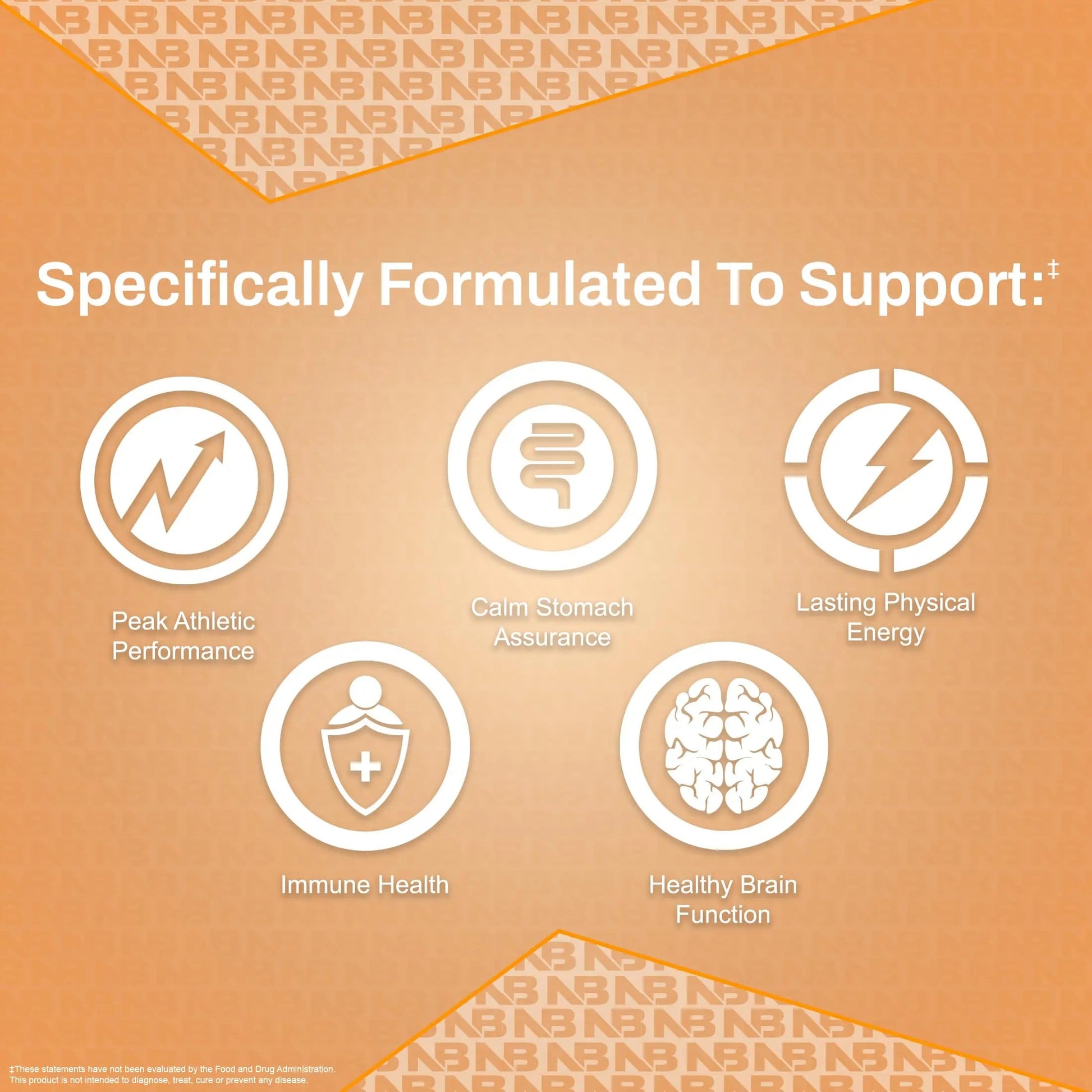 NutraBio Multisport for Men - Mens MultiVitamin - 33 Vitamins, Minerals, Micronutrients - Rich in Antioxidants NutraBio buy supplements canada