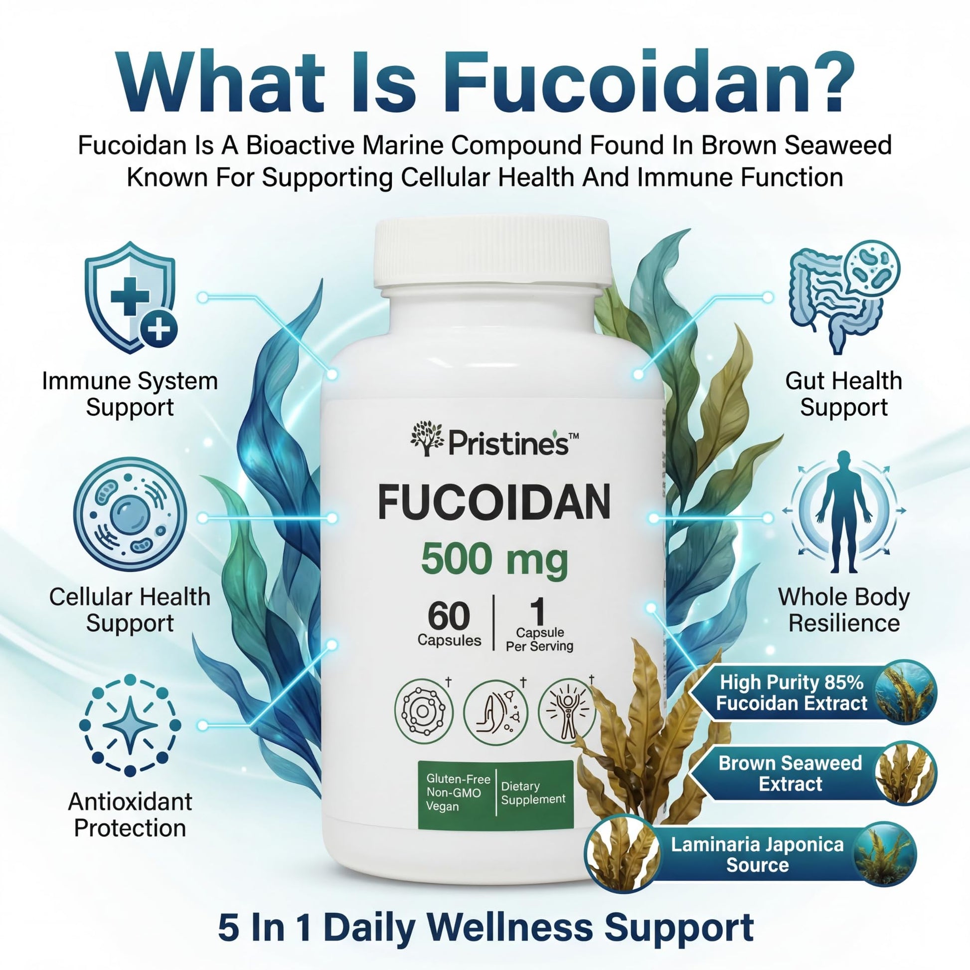 PRISTINE'S Fucoidan 500MG Immunity Supplement Capsules - 60 Day Supply - Brown Seaweed Extract - Potent Herbal Antioxidant Lung Health & Skin Health Support PRISTINE'S buy supplements canada