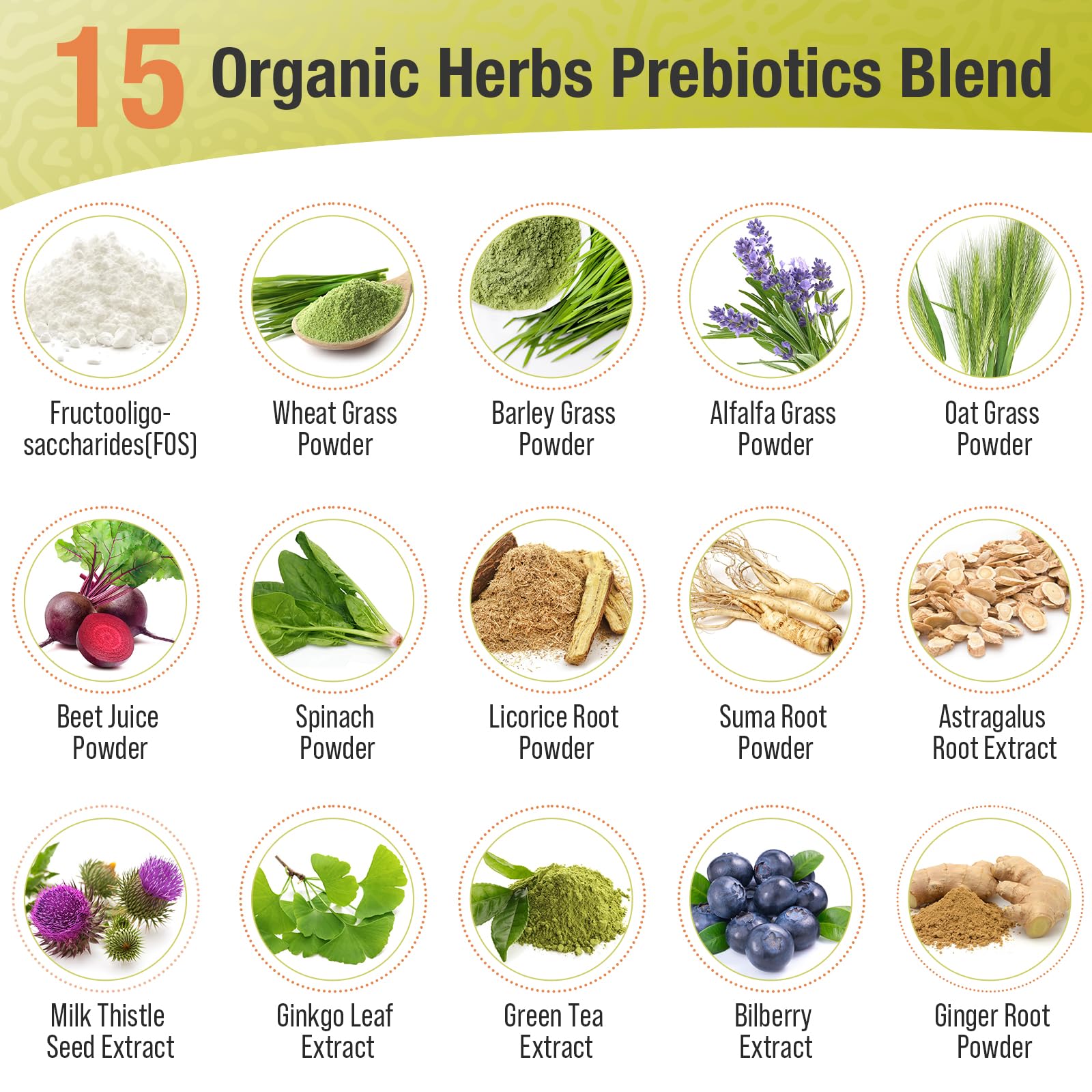 Probiotics for Women & Men - 300 Billion CFU, 24 Strains + 15 Organic Herbs Prebiotics Blend, Daily Probiotic for Digestive Health, Immune, Gut, Bloating Ascuoli buy supplements canada