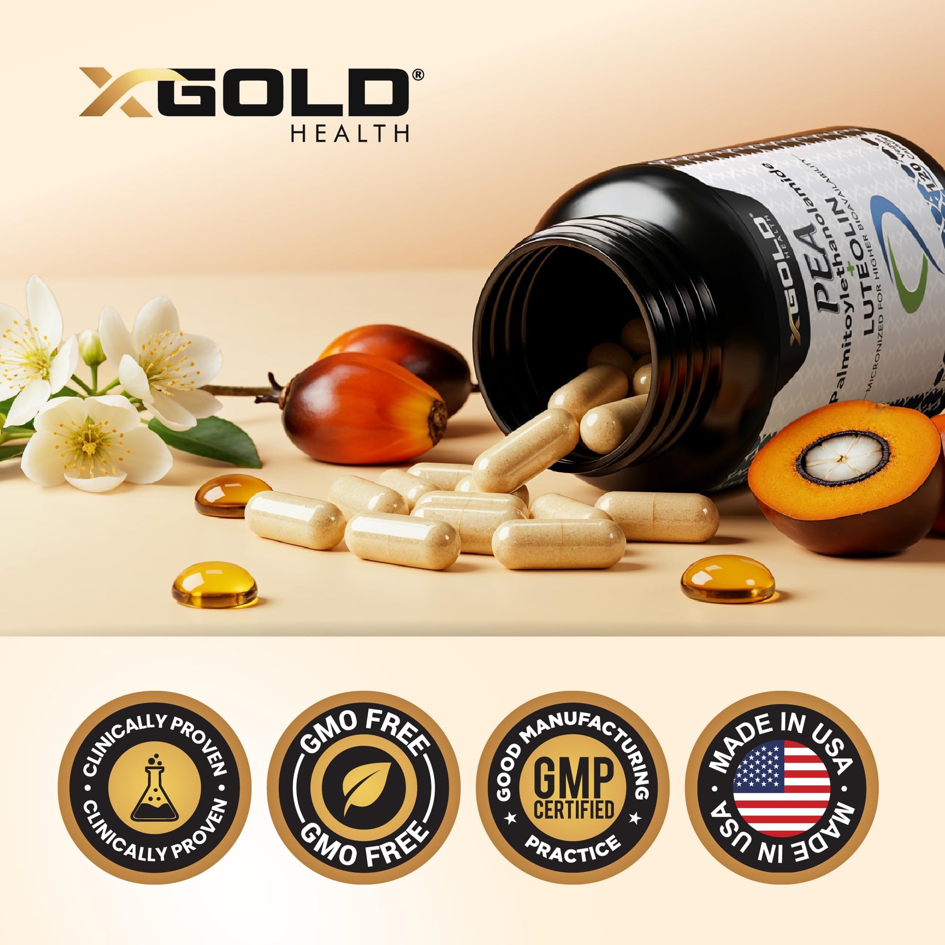 Palmitoylethanolamide 630 mg + Luteolin Standardized 98%- Micronized Pea 99% Highly Purified and Bioavailable - Made in USA - Supplement for Men and Women - 120 Veggie Capsules X Gold Health buy supplements canada