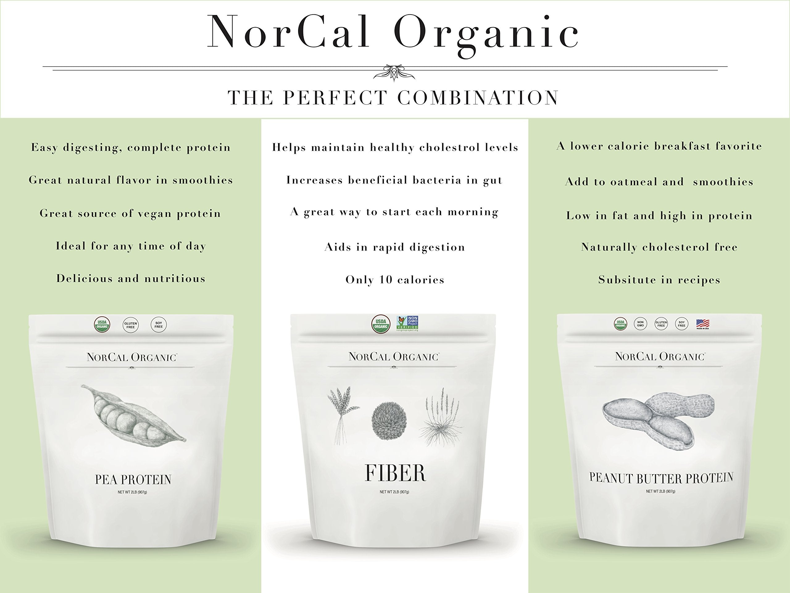 Norcal Organic Peanut Butter Protein Powder - 2lb | Vegan, Low-Cal, 11g Protein NorCal Organic buy supplements canada