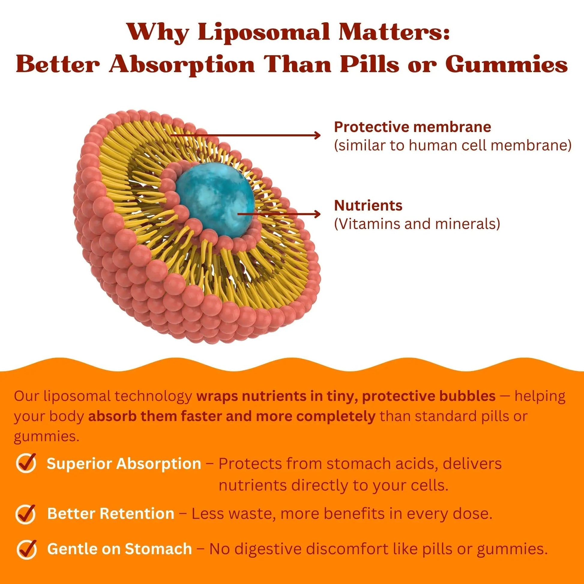 Vitaminally Women’s 50+ Liposomal Liquid Multivitamin – 16 Essential Vitamins & Minerals for Energy, Bone & Immune Support Vitaminally buy supplements canada