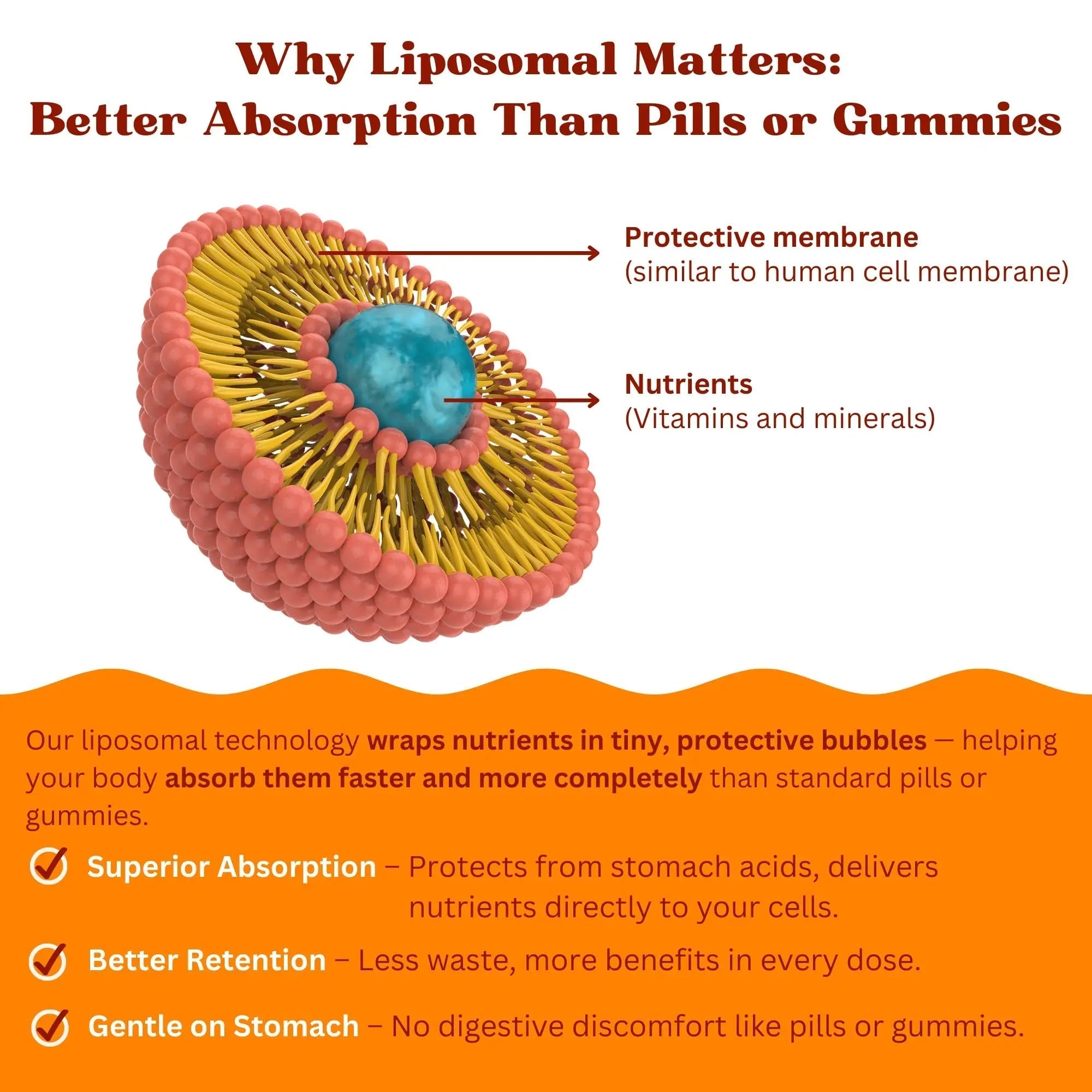 Vitaminally Women’s 50+ Liposomal Liquid Multivitamin – 16 Essential Vitamins & Minerals for Energy, Bone & Immune Support Vitaminally buy supplements canada
