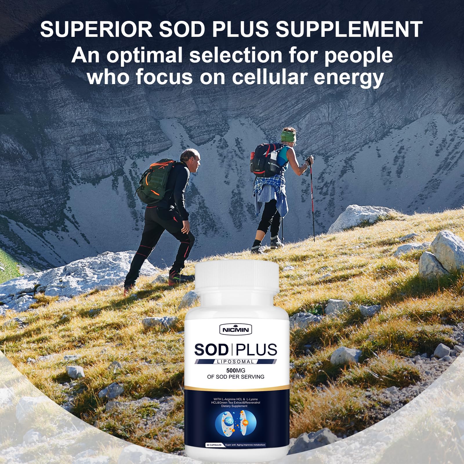 NICMIN 500MG Superoxide Dismutase Supplement - SOD Plus with Liposomal Glutathione, AKG, Green Tea Extract, L-Arginine, Lysine, Resveratrol and Vitamin E for Immune Support, Antioxidant 120 Capsules NICMIN buy supplements canada