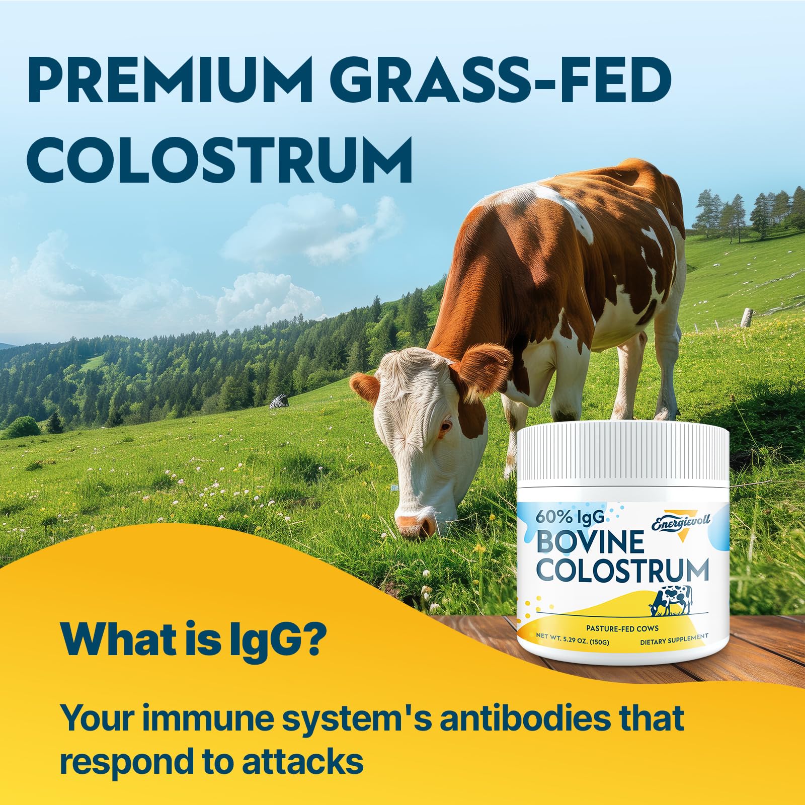 Energievoll Bovine Colostrum Supplement Powder - 60% IgG 3000 mg for Gut, Hair Growth, Beauty, and Immune, Easy to Mix, Unflavored (50 Servings) Energievoll buy supplements canada