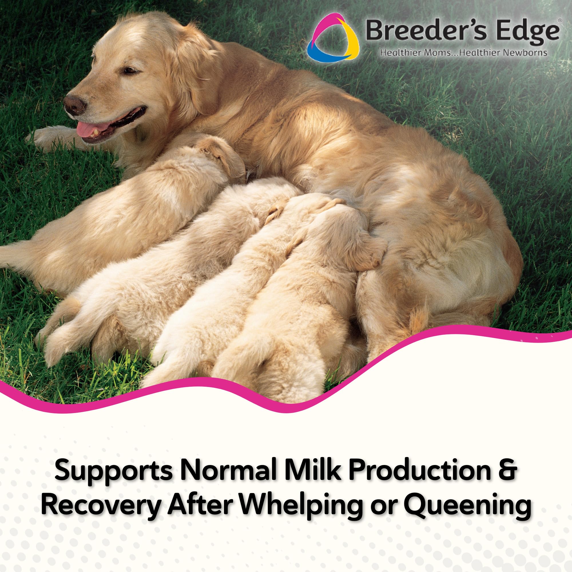 Breeder's Edge Oxy Momma Soft Chews, Postnatal Vitamin Supplement for Lactating Dogs and Cats, Supports Recovery, Hormones, and Next Pregnancy - for Small Dogs & Cats, 40ct Soft Chews Revival Animal Health buy supplements canada