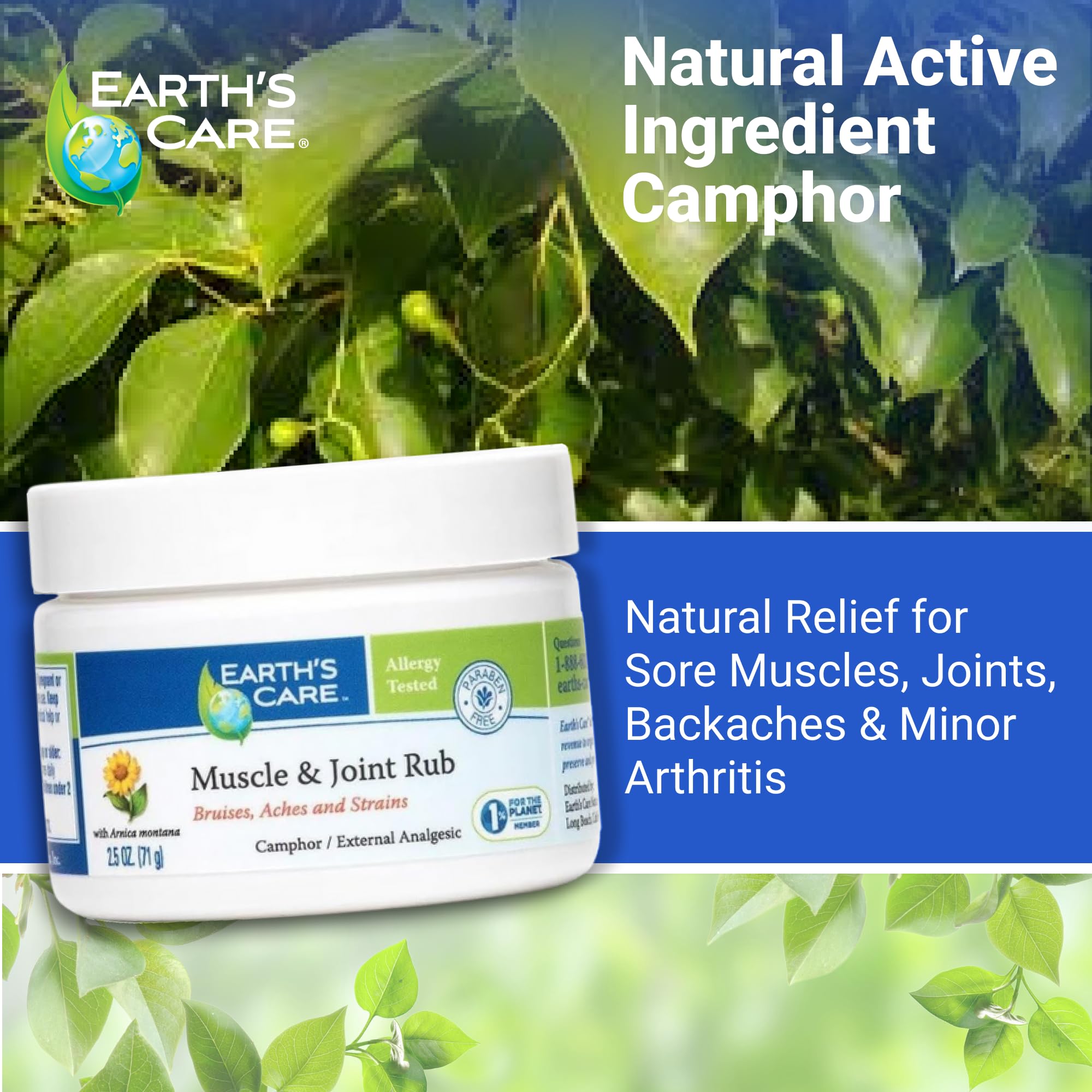 Earth's Care Muscle & Joint Rub - for Sore Muscles, Bruises, Aches and Strains - 2.5 OZ. Earth's Care buy supplements canada