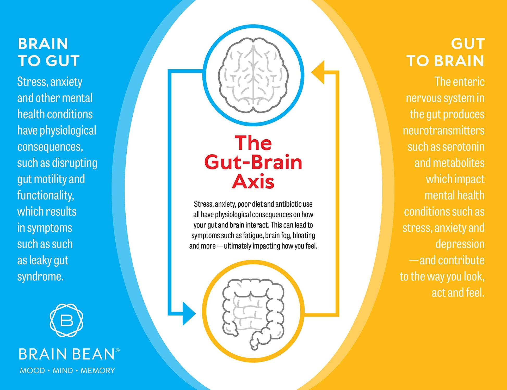 Brain Basics Ultra Pure IgG Supplement - Dairy-Free Supplement IgG-Immunolin Powder, Blended Vitamin & Mineral Supplements, 150g, 60 Servings Brain Bean buy supplements canada