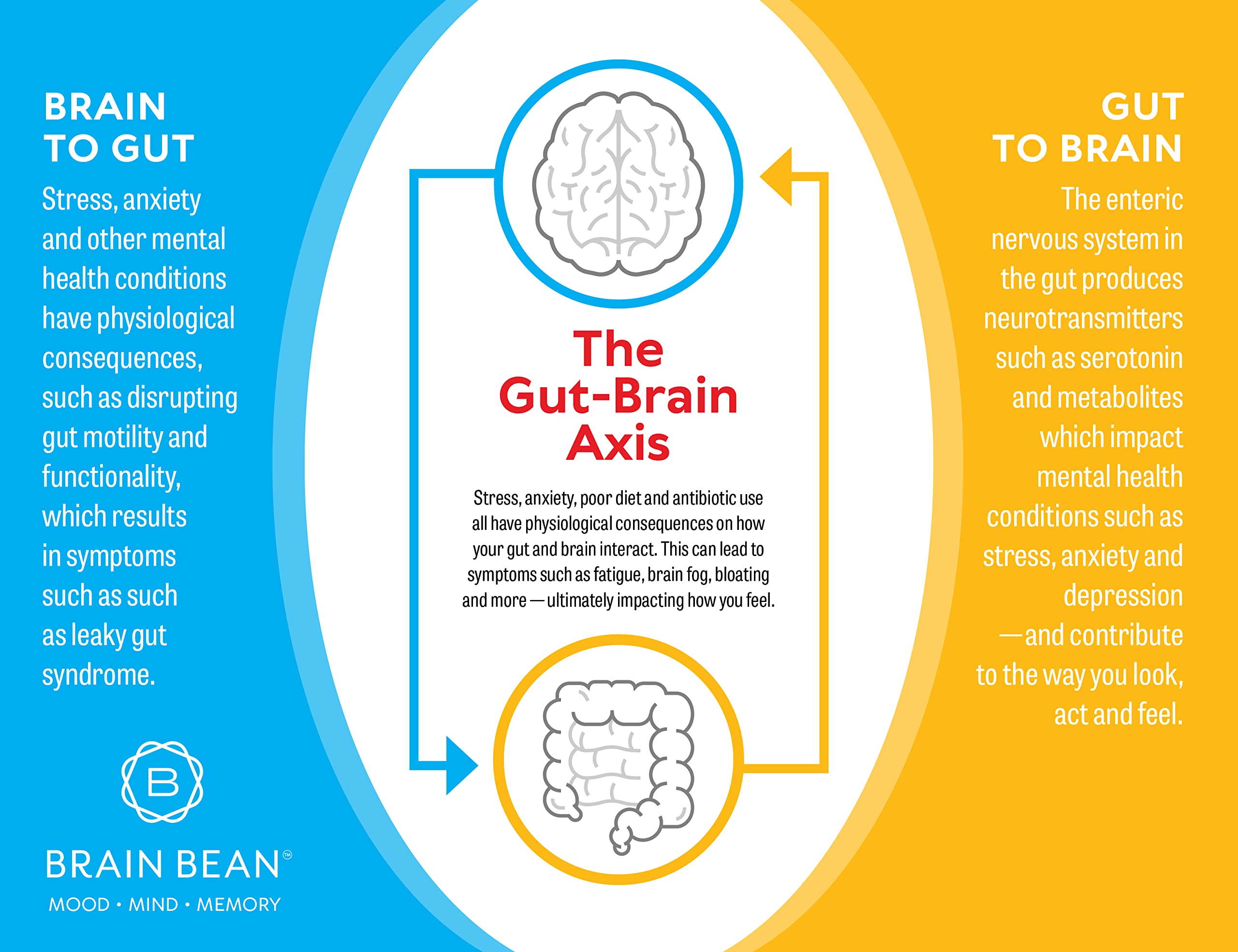 Brain Basics Ultra Pure IgG Supplement - Dairy-Free Supplement IgG-Immunolin Powder, Blended Vitamin & Mineral Supplements, 150g, 60 Servings Brain Bean buy supplements canada