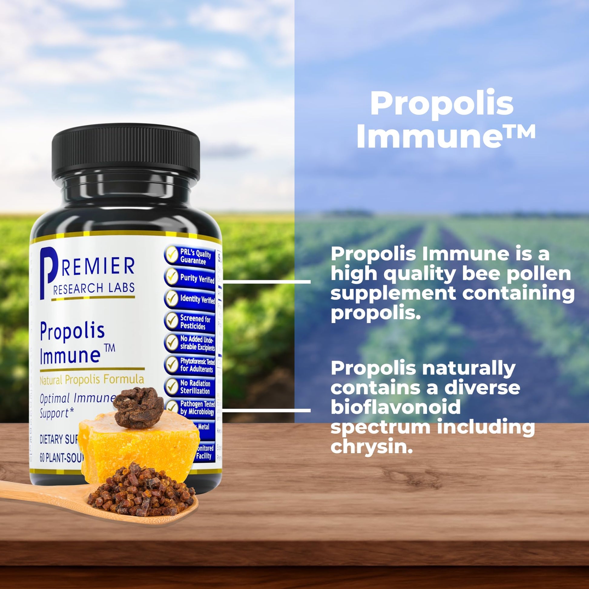 Premier Research Labs Propolis Immune - Bee Propolis Capsules, Bee Pollen Supplement, Propolis Extract Pills for Women & Men, Promotes Immune Health - 60 Vegetarian Capsules Premier Research Labs buy supplements canada