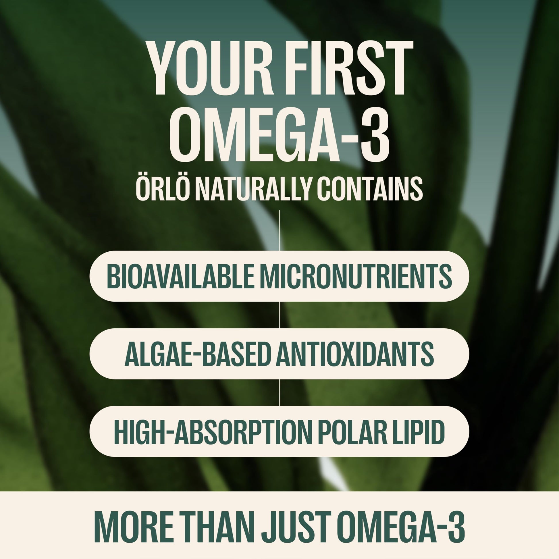 Orlo DHA Supplement 1000mg - 3X Absorption Natural Icelandic Nordic Omega 3 DHA & EPA for Brain & Eye Support – Vegan Fish Oil Alternative, No Fishy Aftertaste, 60 Easy-to-Swallow Mini Softgels Orlo buy supplements canada
