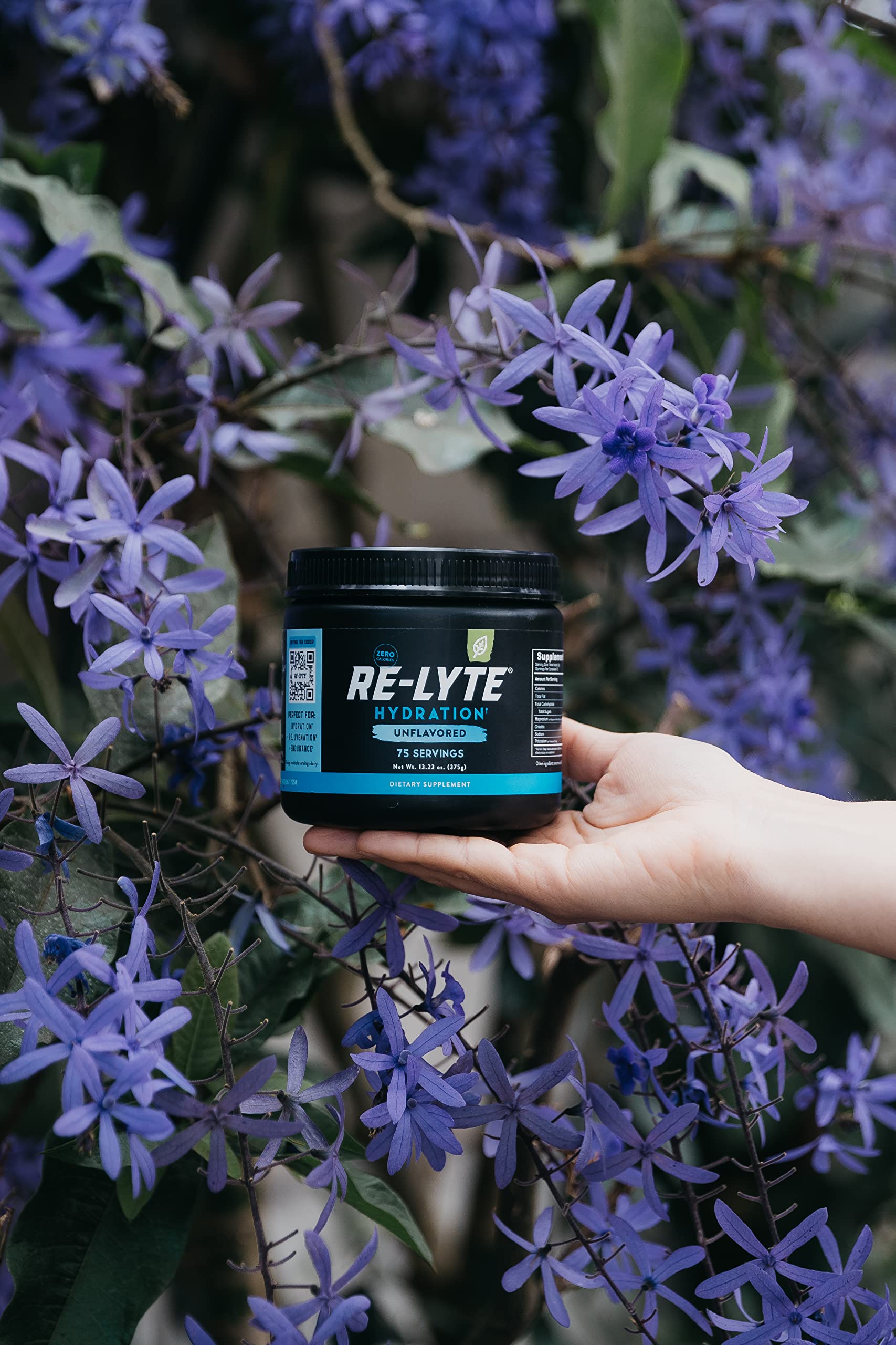 REDMOND Re-Lyte Hydration Electrolyte Mix (Unflavored) REDMOND buy supplements canada