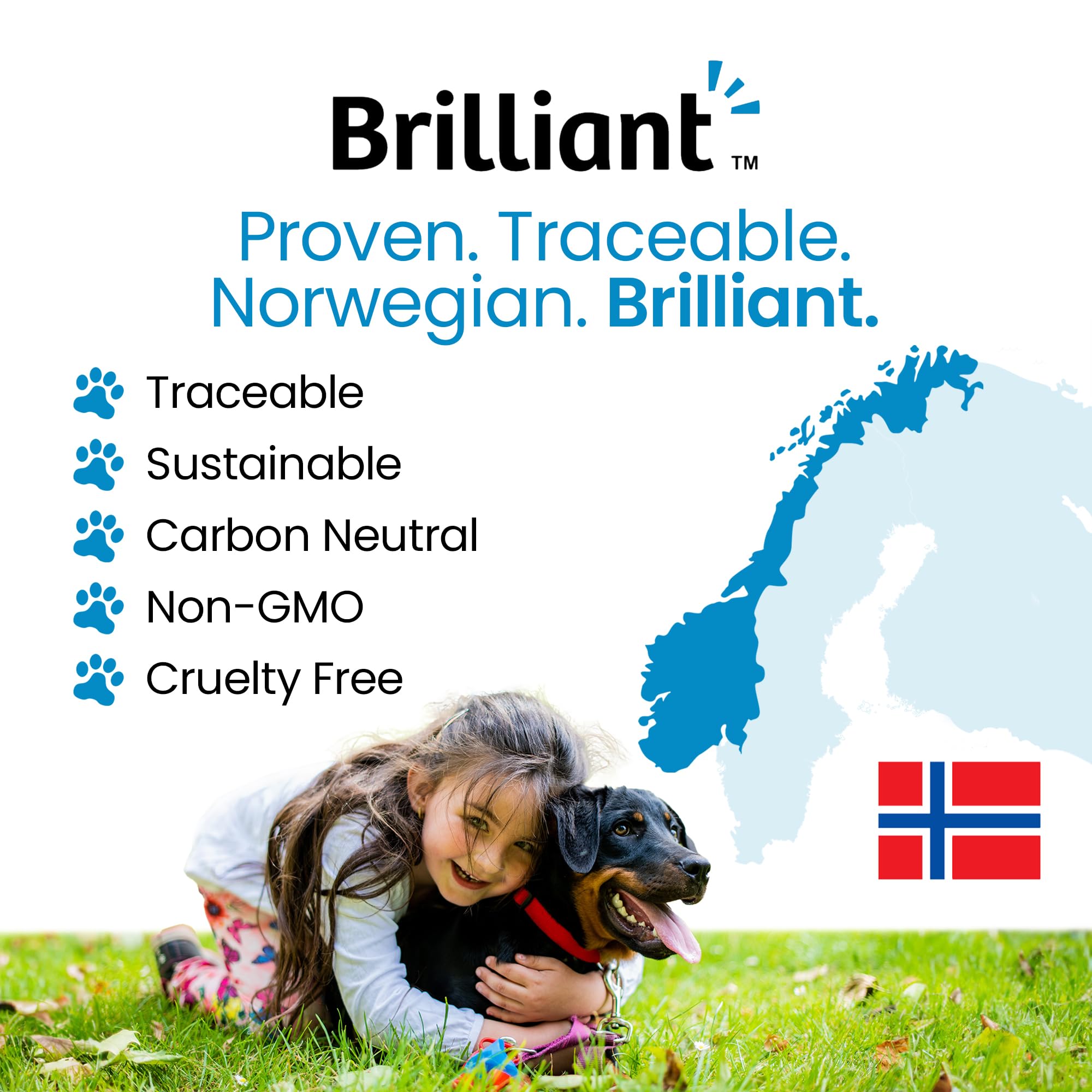Hofseth BioCare Brilliant Bone & Joint Supplement for Dogs - High Strength Calcium & Collagen Powder for Joint & Hip Support, Essential Supplement for Dog’s of All Ages - 10.6 Oz Hofseth BioCare buy supplements canada