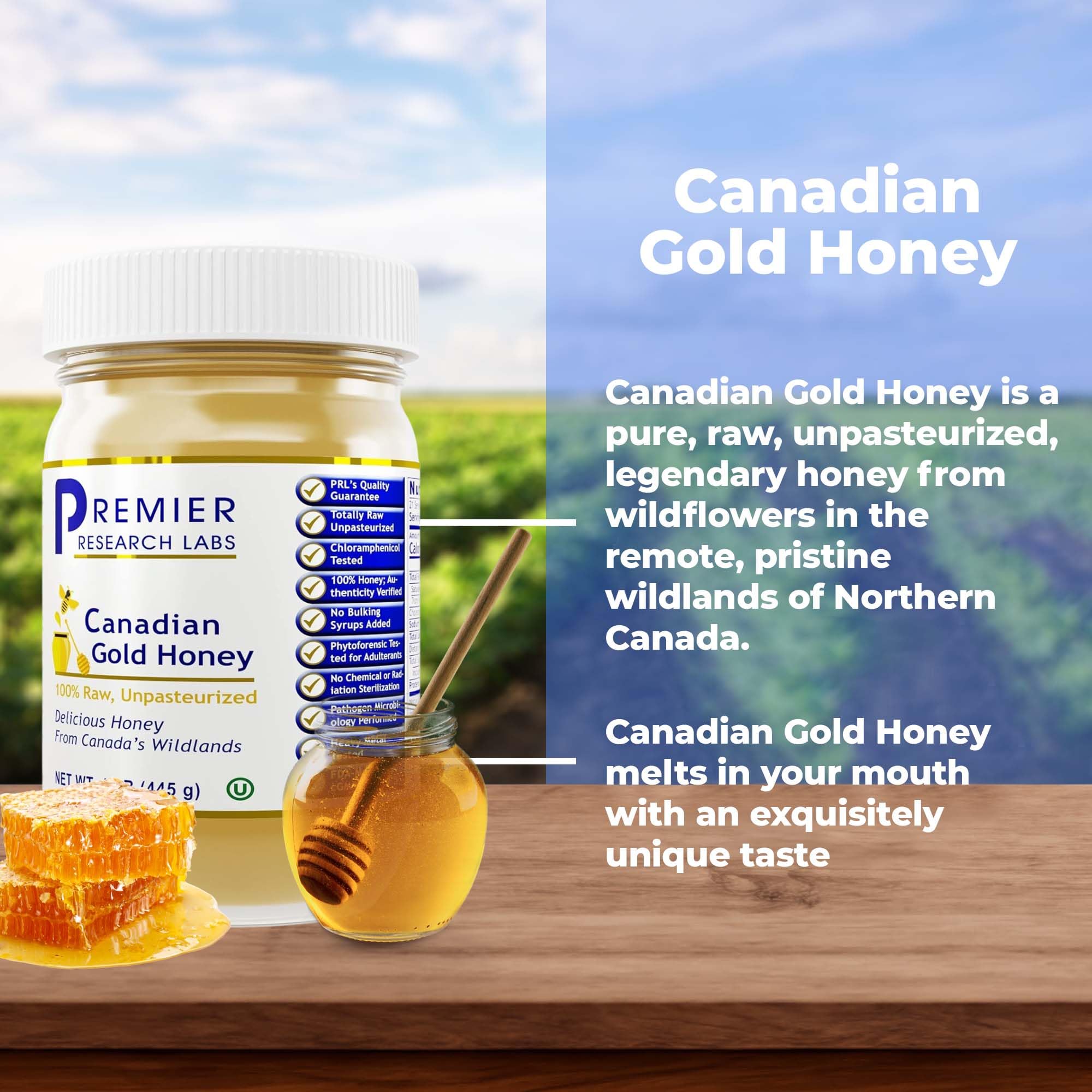 Premier Research Labs Canadian Gold Honey - Raw Honey, Pure Honey, Raw Unpasteurized Honey, Unfiltered, 100% Pure, Sugar-Free, Unprocessed Wildflower Honey - 1 lb Jar Premier Research Labs buy supplements canada
