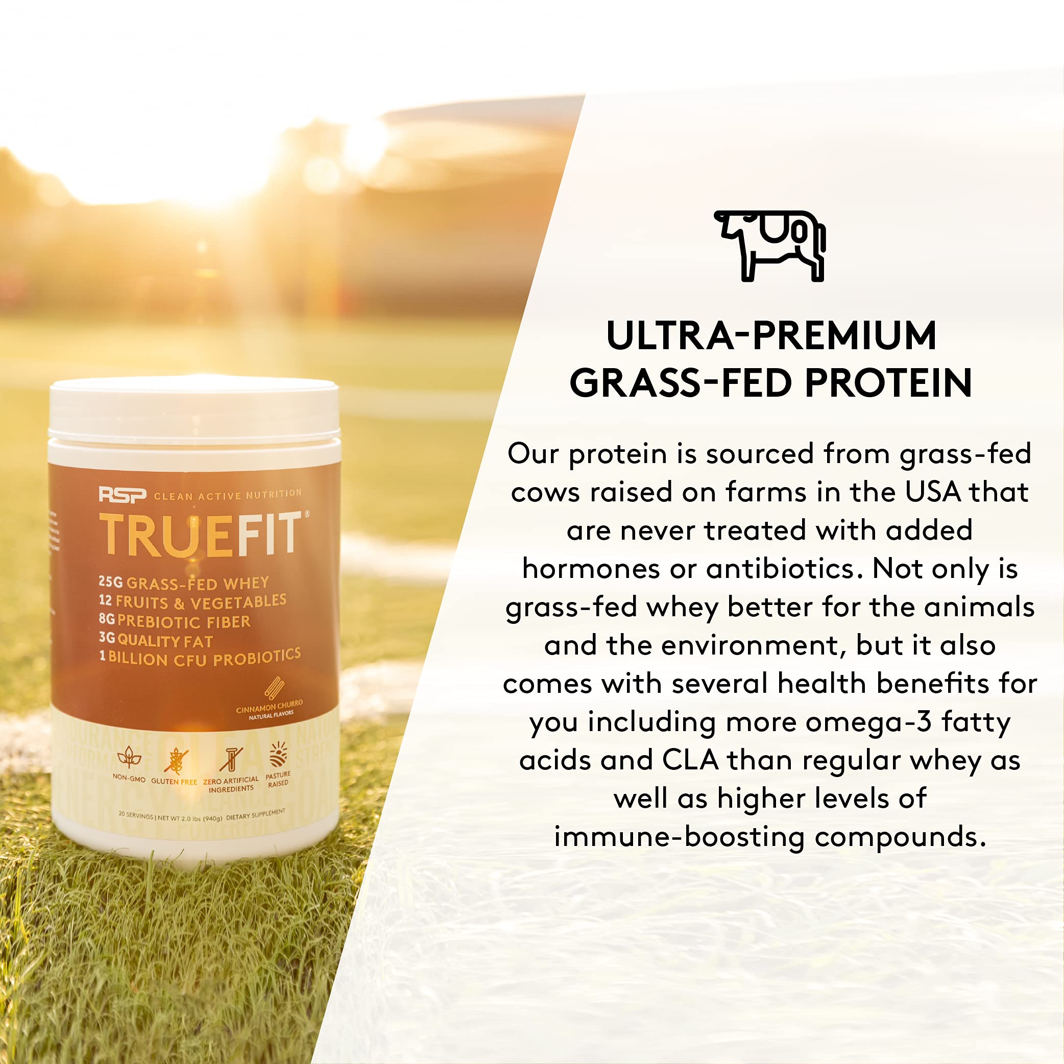TrueFit Meal Replacement Shake Protein Powder, Grass Fed Whey + Organic Fruits RSP NUTRITION buy supplements canada