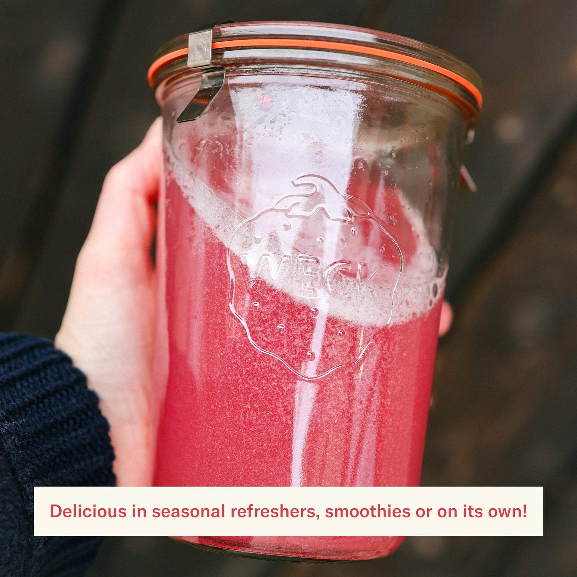 Ballerina Farm Farmer Hydrate, Daily Electrolytes Powder, Raspberry Lemonade, Hydration Drink Mix with Organic Coconut Water, Irish Sea Moss, Sea Salt, Prebiotic Fiber, No Added Sugar, 25 Servings Ballerina Farm buy supplements canada