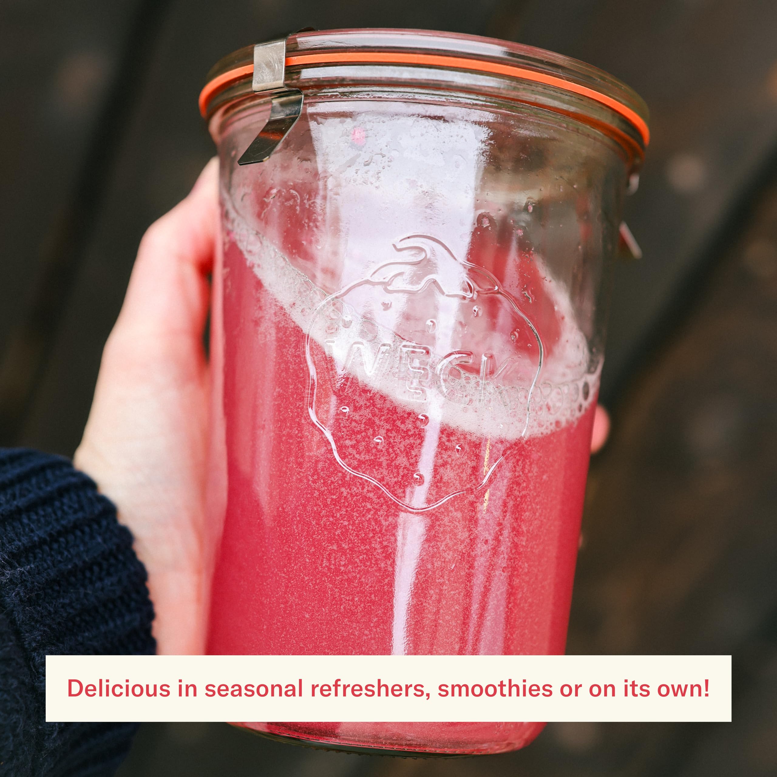 Ballerina Farm Farmer Hydrate, Daily Electrolytes Powder, Raspberry Lemonade, Hydration Drink Mix with Organic Coconut Water, Irish Sea Moss, Sea Salt, Prebiotic Fiber, No Added Sugar, 25 Servings Ballerina Farm buy supplements canada