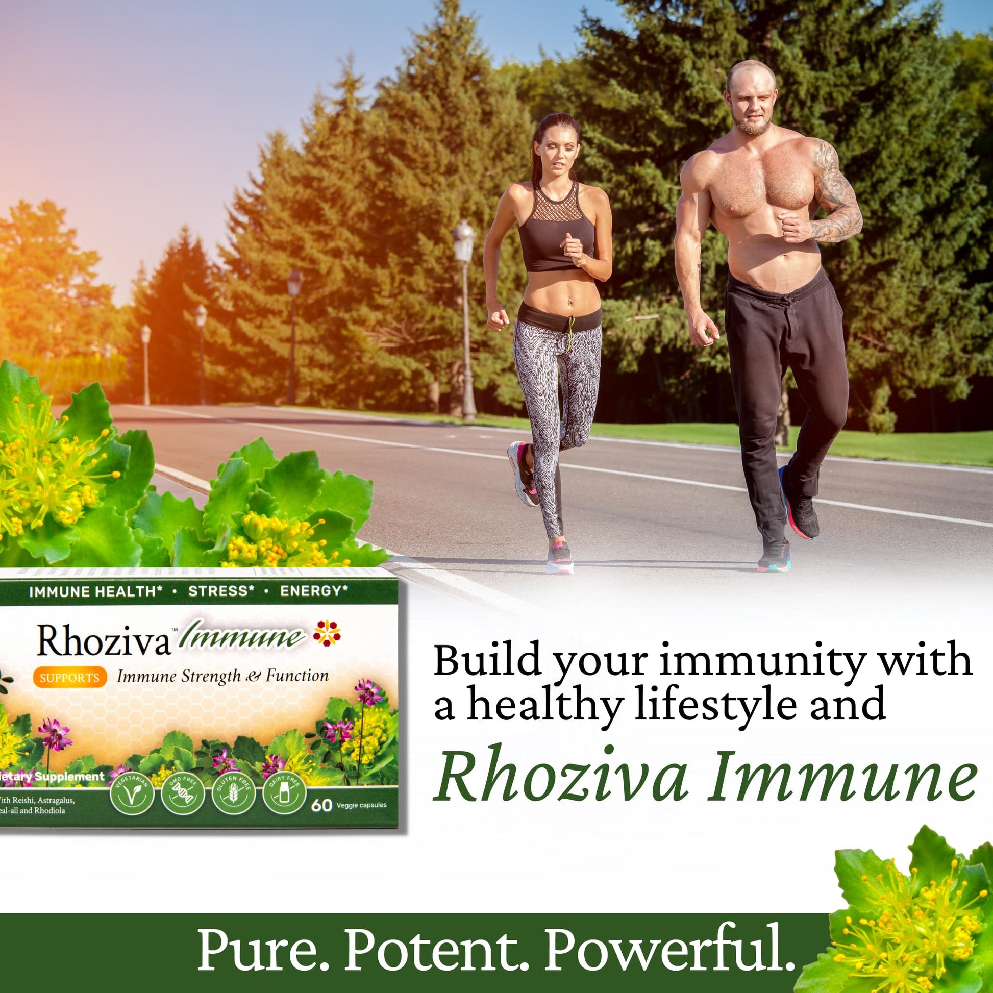 Immune Support, Energy Booster with Vitamin C, D3 and Zinc Supplement, Rhodiola Rosea, Reishi Mushroom Extract, Astragalus, Overall Wellness and Daily Habit - 60 Capsules Rhoziva buy supplements canada