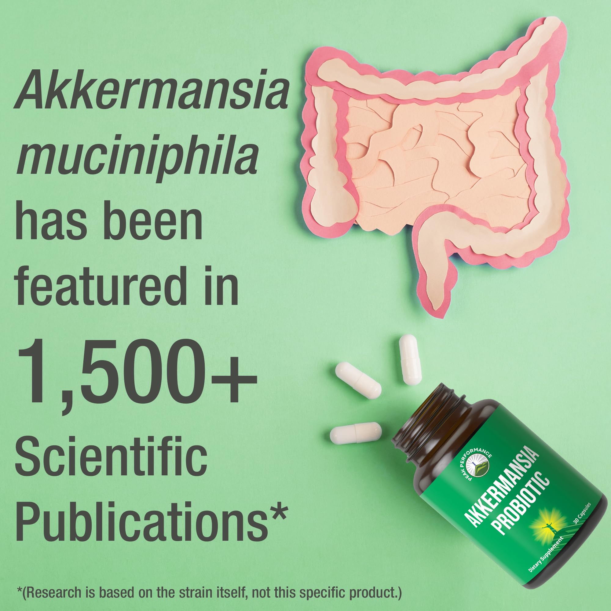 Akkermansia Probiotic to Increase GLP-1 Production. Ultra High Strength Akkermansia Muciniphila Live Strain with Prebiotic Fiber for Gut Health & Microbiome Balance. Delayed Release, 3rd Party Tested Peak Performance buy supplements canada