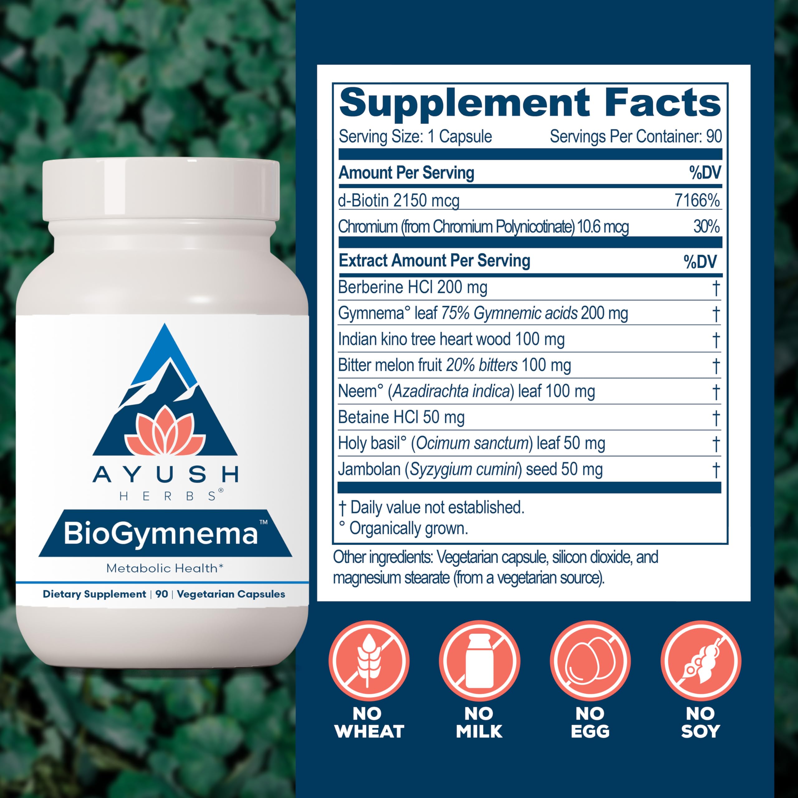 Ayush Herbs BioGymnema - Metabolic Vitamin & Herb Blend, Metabolic Health Supplement for Women & Men with Biotin, Berberine, Bitter Melon & Gymnema, Nutrient Support - 90 Servings Ayush Herbs buy supplements canada