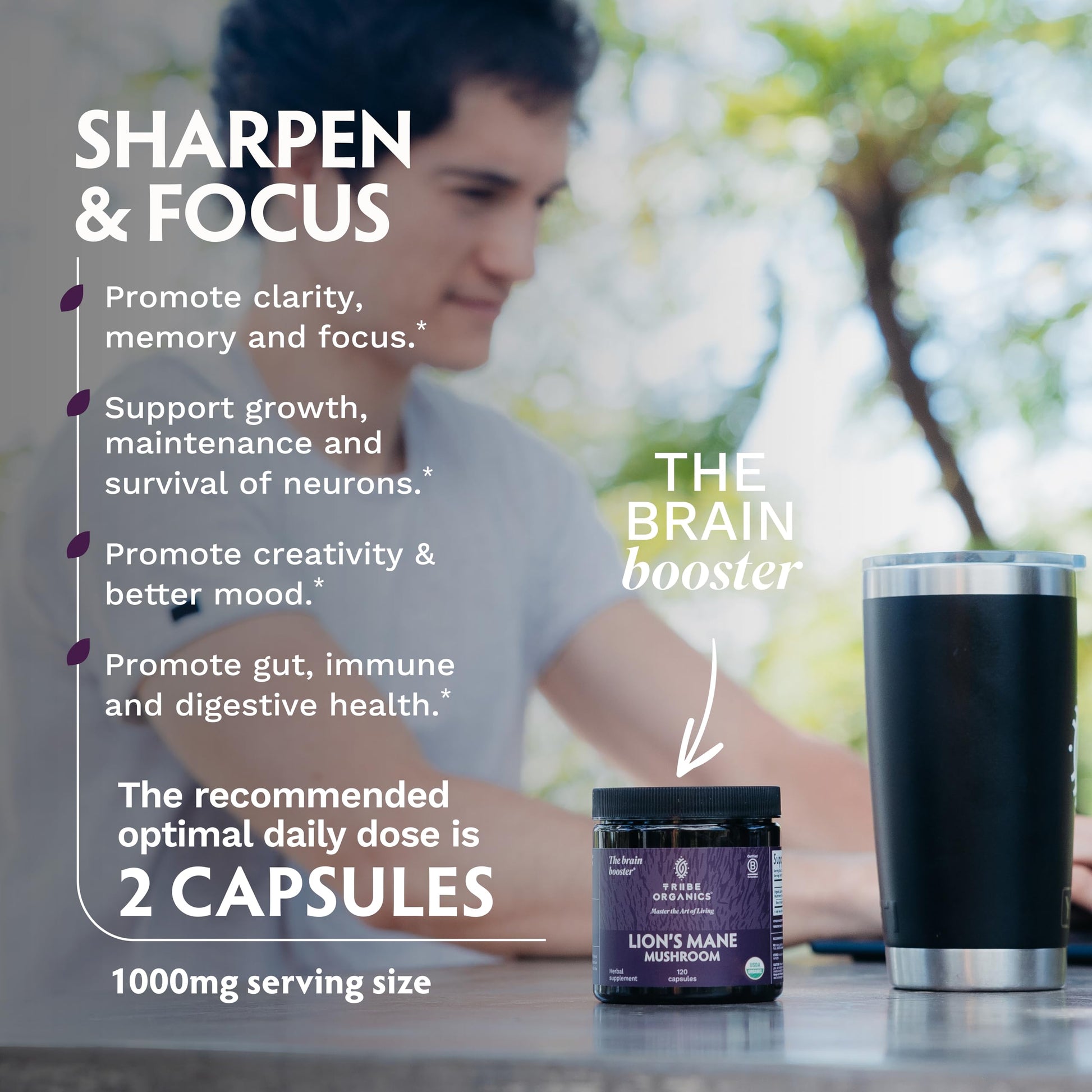 TRIBE ORGANICS Lion’s Mane Supplement 1000mg Mushroom Extract Powder - Immune System Booster & Brain Nootropic for Focus and Memory | Mental Clarity | Natural Energy and Immunity - 120 Vegan Capsules TRIBE ORGANICS buy supplements canada