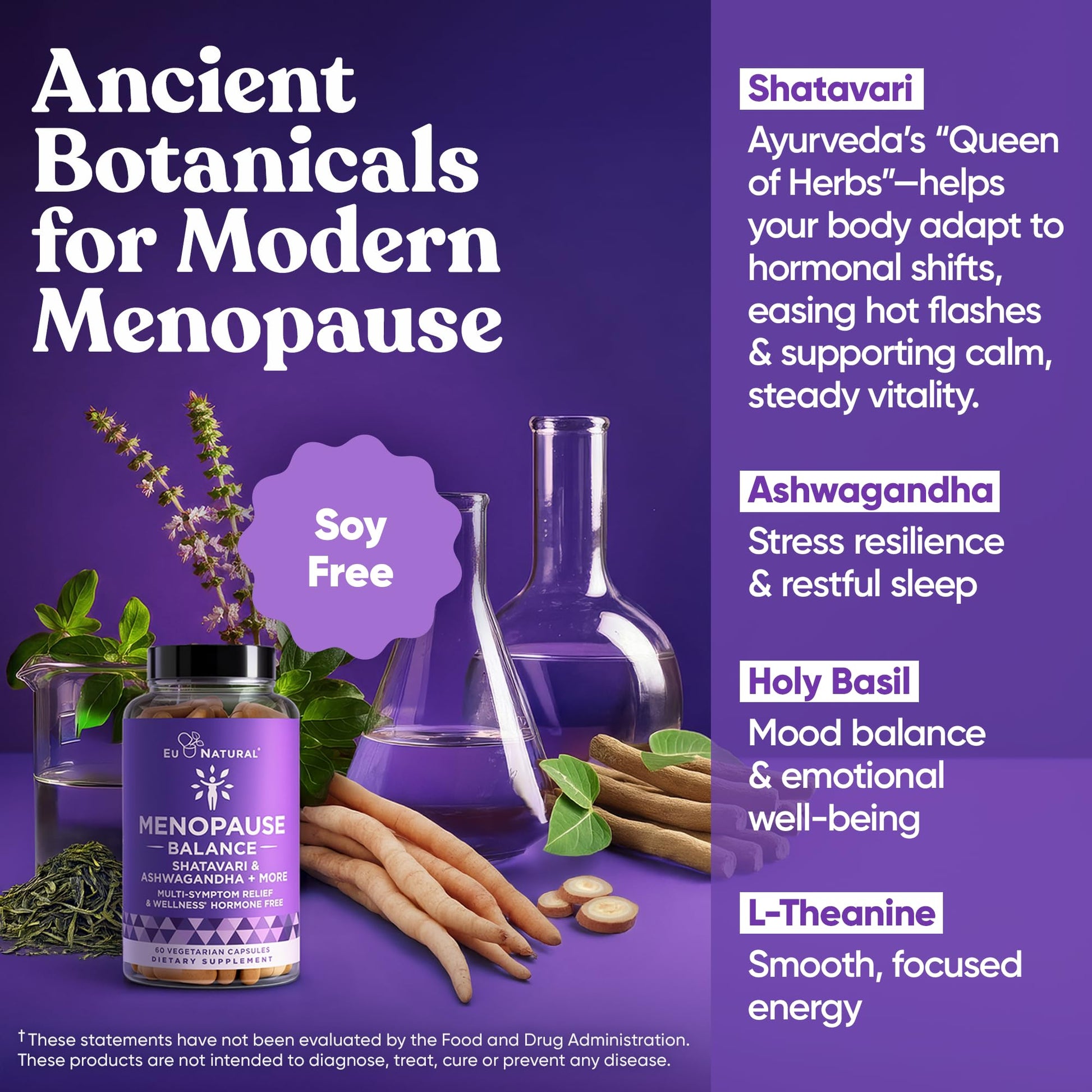 Premium Menopause Supplement for Women – Menopause Balance with Shatavari, Ashwagandha, L-Theanine & Holy Basil – Holistic Multi-Symptom Menopause Support & Hot Flash Relief – 60 Vegetarian Capsules Eu Natural buy supplements canada