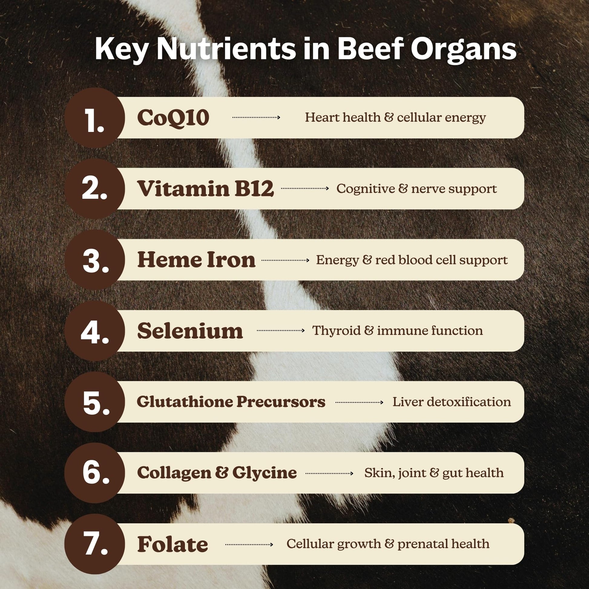 MK Supplements Grass-Fed Beef Organs Capsules | 5 Organs in Nature-Identical Ratios | B12, Copper & Heme Iron | Regeneratively Raised | 150 Capsules MK Supplements buy supplements canada