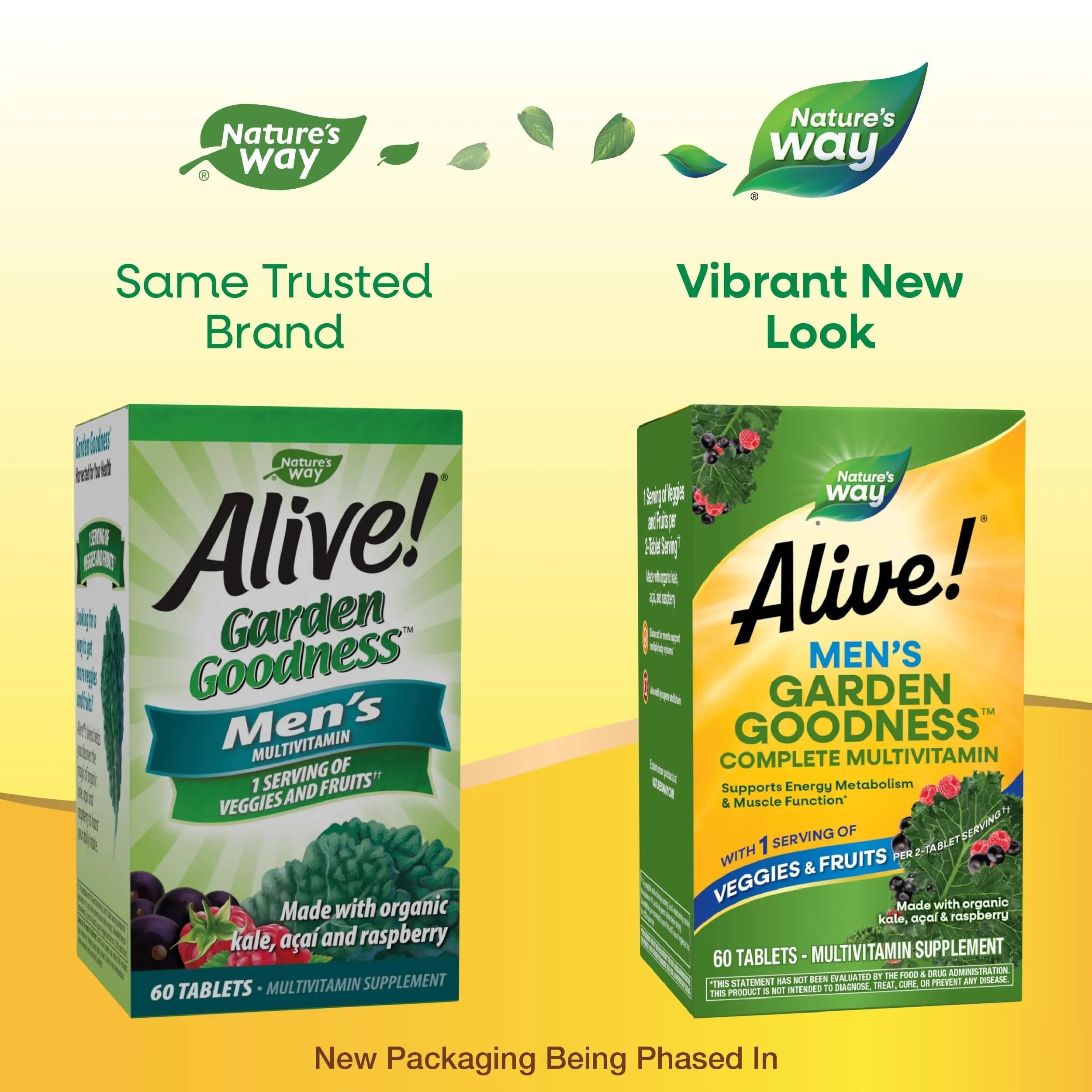 Nature's Way Alive! Garden Goodness Men's Multivitamin, Veggie & Fruit Blend (1400mg per serving), Made with Organic Kale, 60 Count Nature's Way buy supplements canada