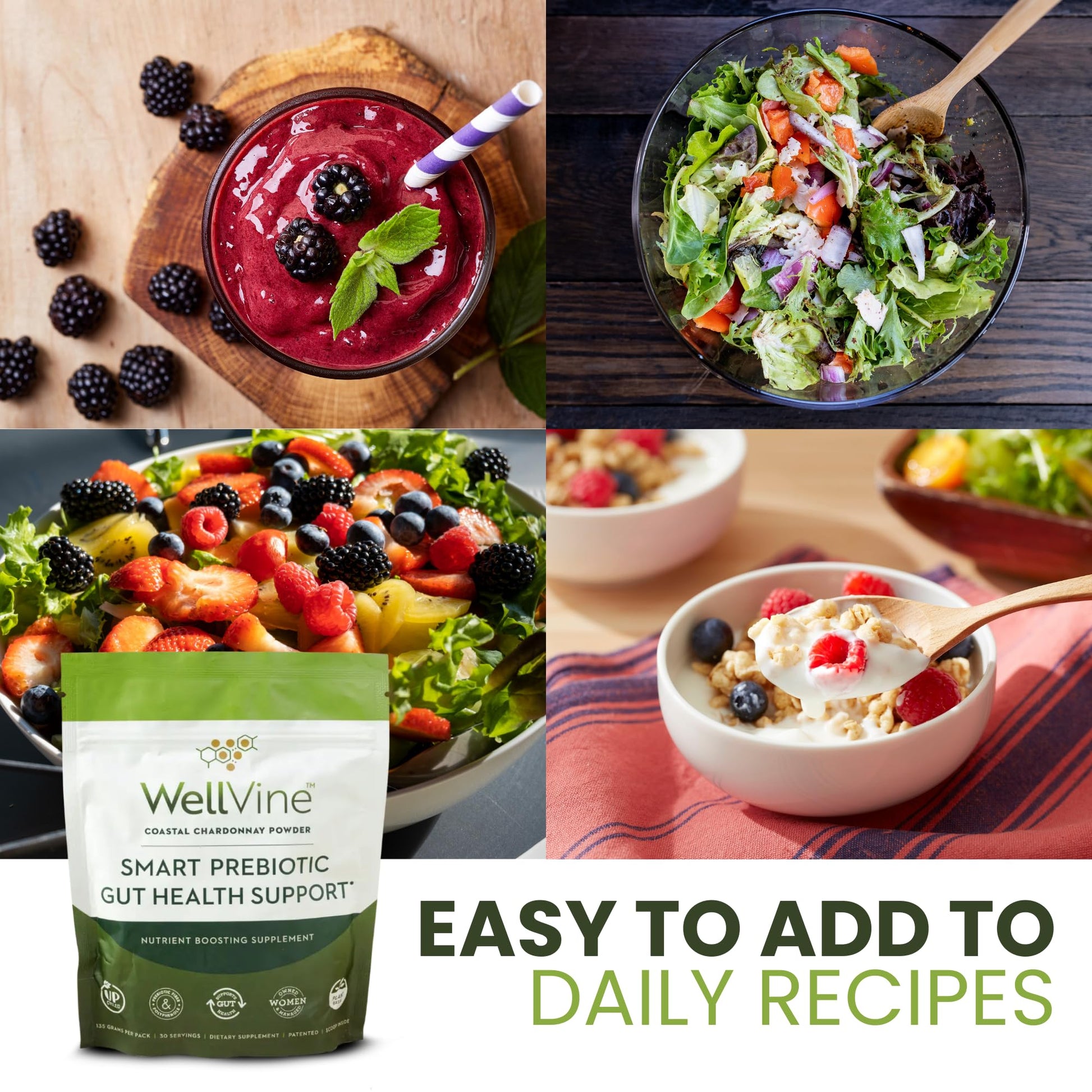 WellVine Premium Smart Prebiotic Gut Health Supplement Powder for Men & Women | Digestive Support & Gut Health With 100% Upcycled Chardonnay Grapes | Plant-Based WellVine buy supplements canada