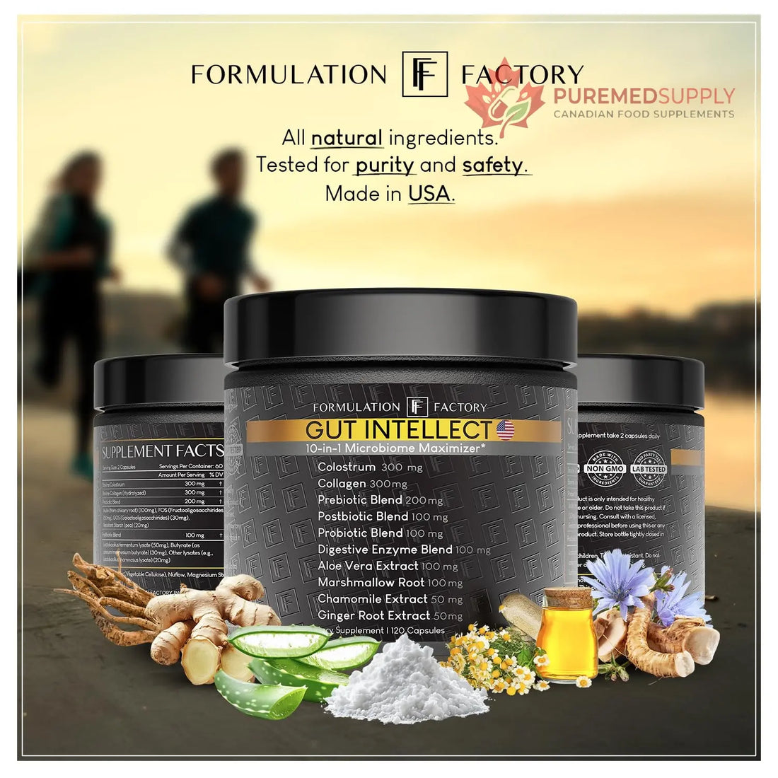 Formulation Factory Probiotics for Women & Men - Gut Intellect 10-in-1 Digestive Enzymes with Prebiotics and Postbiotics - Total Gut Health Supplement - 120 Capsules, 2 Month Supply Formulation Factory buy supplements canada
