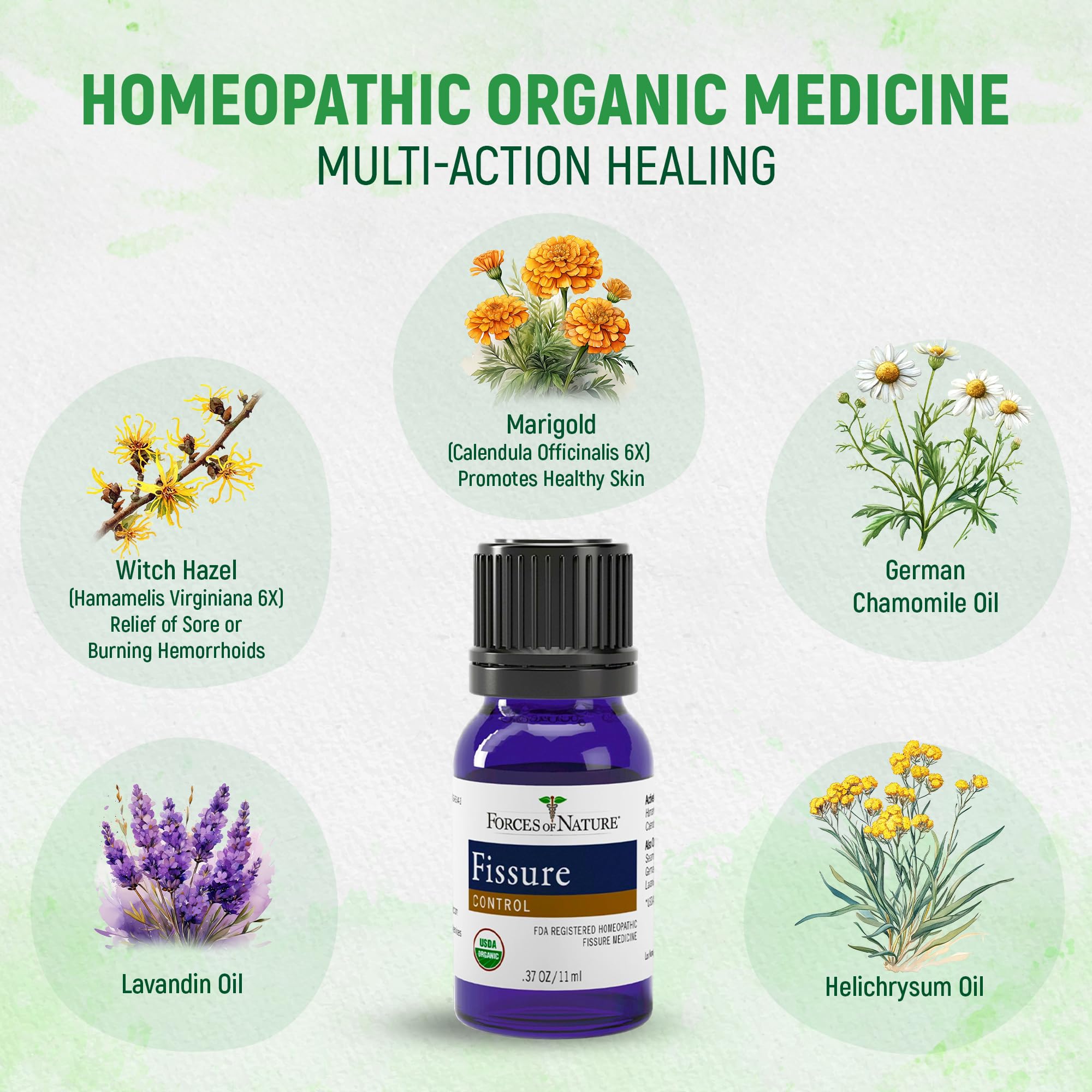 Forces of Nature Fissure Control, Organic Homeopathic Treatment with Witch Hazel for Anal Fissures, Hemorrhoid Related Irritation & Discomfort, Fast, Natural Topical Relief, 1 Fl Oz Forces of Nature buy supplements canada