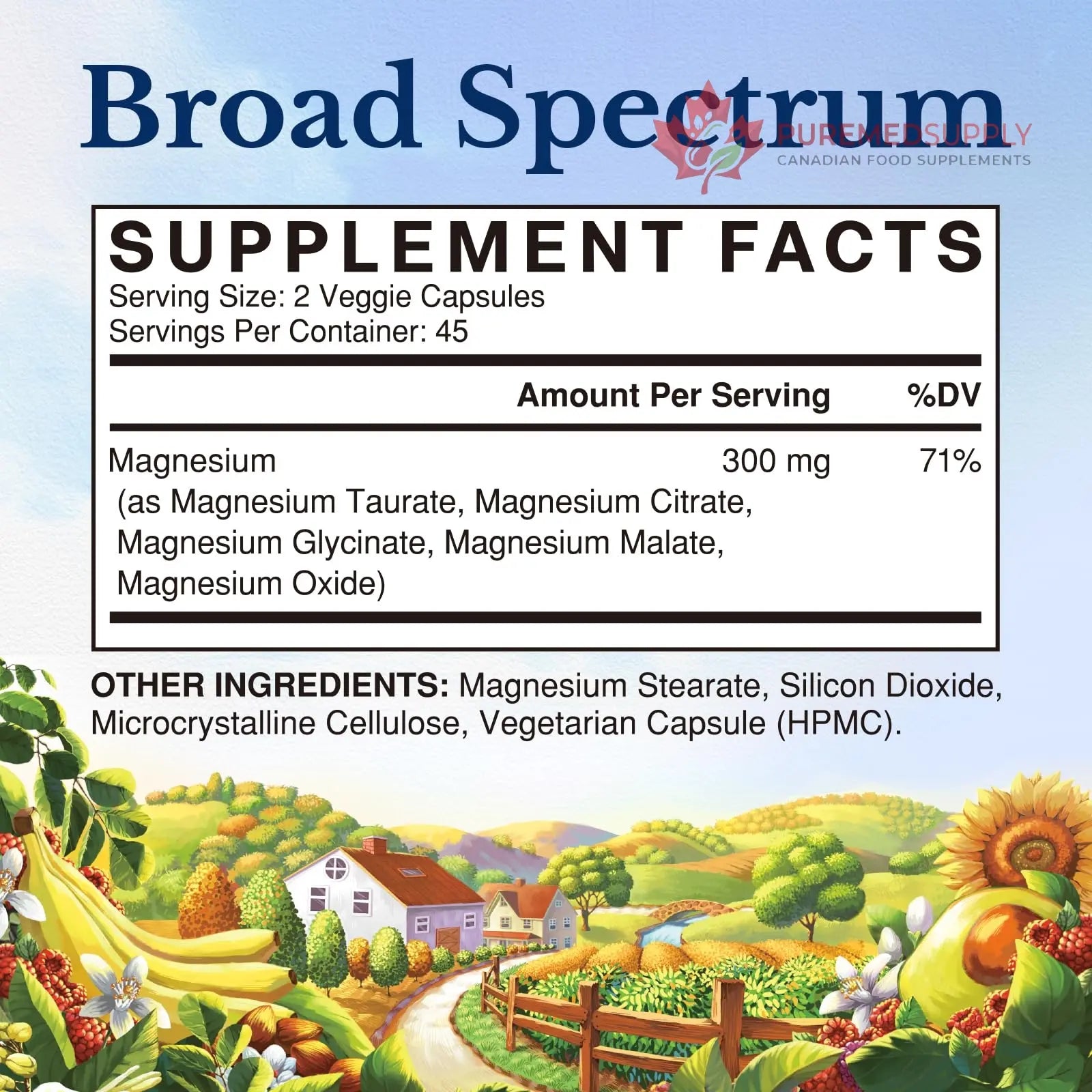 Vitalitown Magnesium Complex Supplement | 300mg Elemental Mag | Magnesium Citrate Glycinate Taurate Malate | Non-GMO, No Gluten, 90 Vegan Magnesio Capsules for Bone Brain Heart Vitalitown buy supplements canada