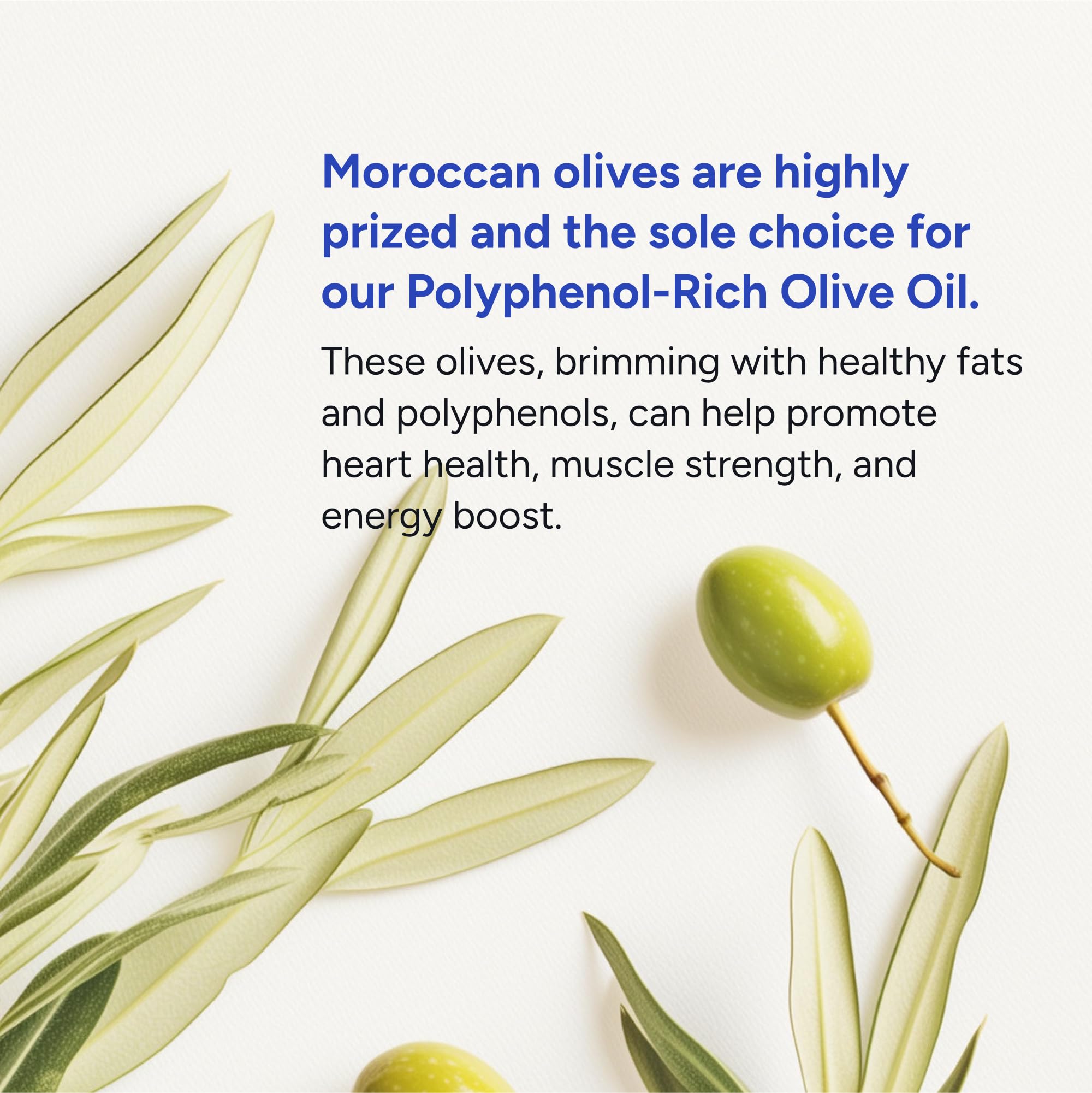 Gundry MD® Organic Extra Virgin First Cold Press Moroccan Polyphenol Rich Olive Oil (Olive Oil) (1) Gundry MD buy supplements canada