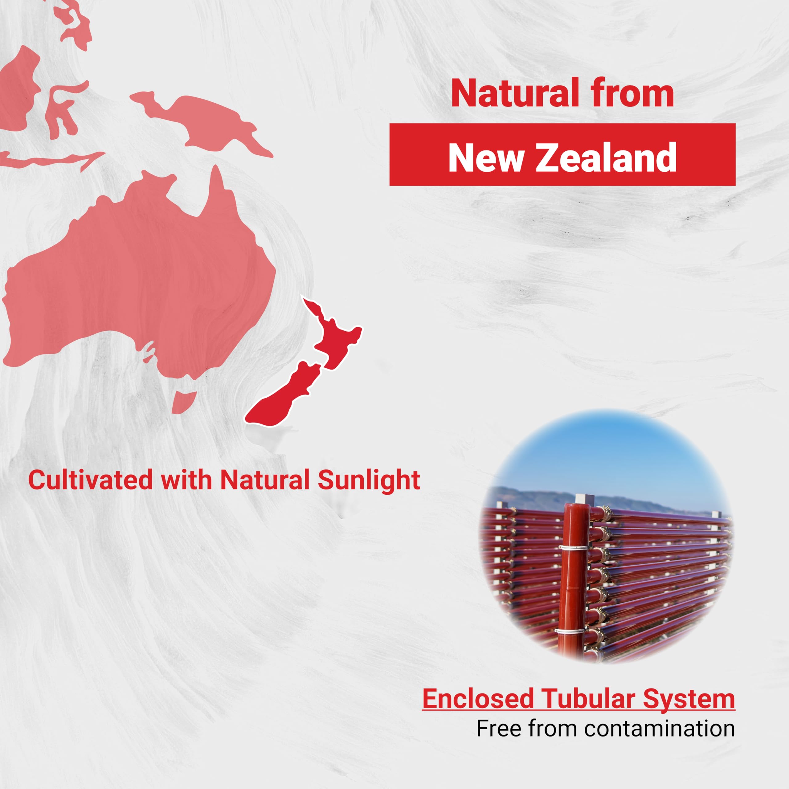 Naturalis New Zealand Astaxanthin (12mg) | Enhanced with Natural Vitamin E | Non-GMO, Soy & Gluten Free | 120 Softgels (4 Month Supply) Naturalis buy supplements canada