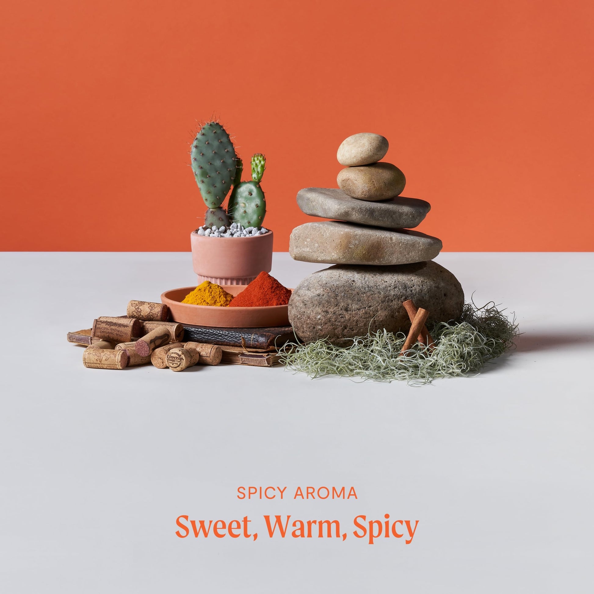 Hohm Pumpkin Spice Essential Oil Blend - Natural, Pure Essential Oil for Your Home Diffuser Hohm buy supplements canada