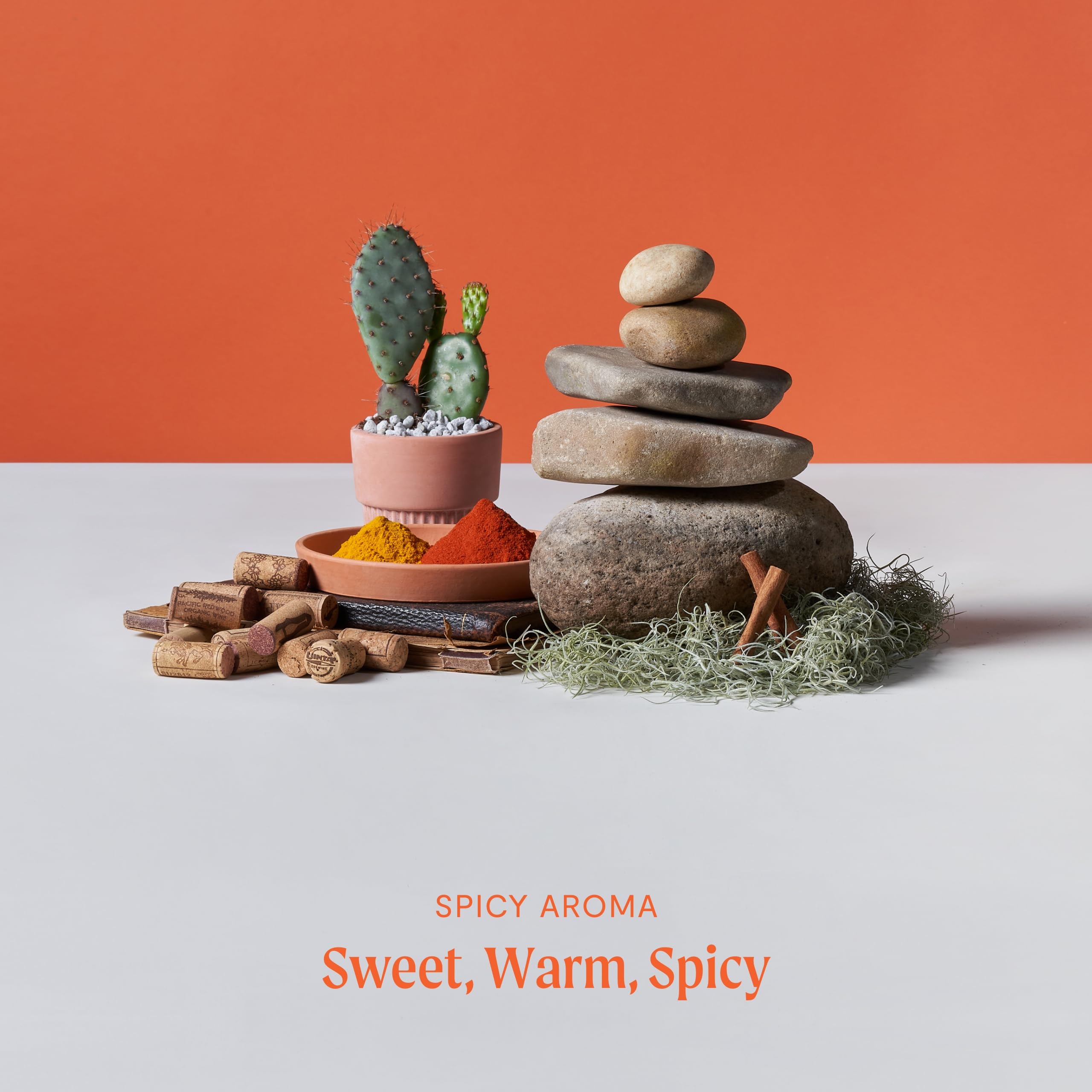 Hohm Pumpkin Spice Essential Oil Blend - Natural, Pure Essential Oil for Your Home Diffuser Hohm buy supplements canada