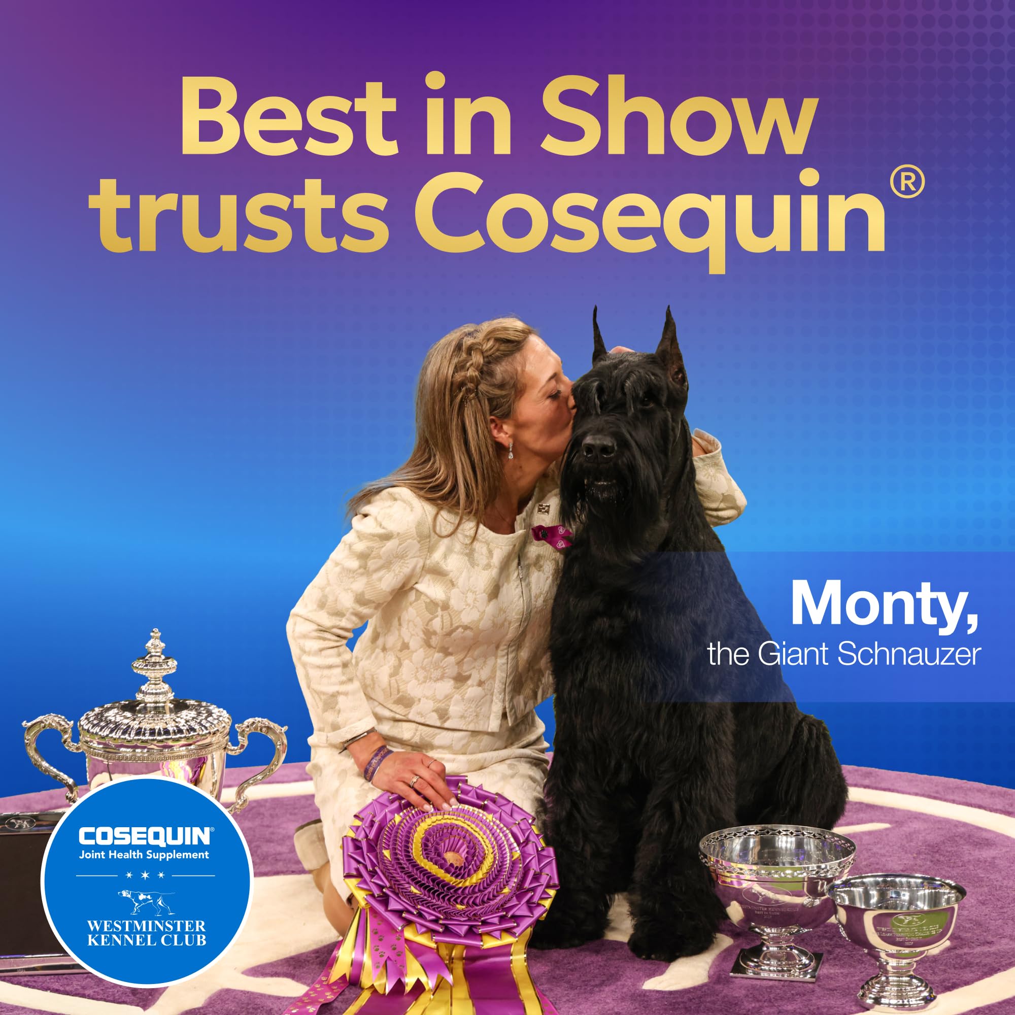 Nutramax Laboratories Cosequin Maximum Strength Joint Health Supplement for Dogs - With Glucosamine, Chondroitin, and MSM, 2 Pack, 264 Total Chewable Tablets Nutramax Laboratories buy supplements canada